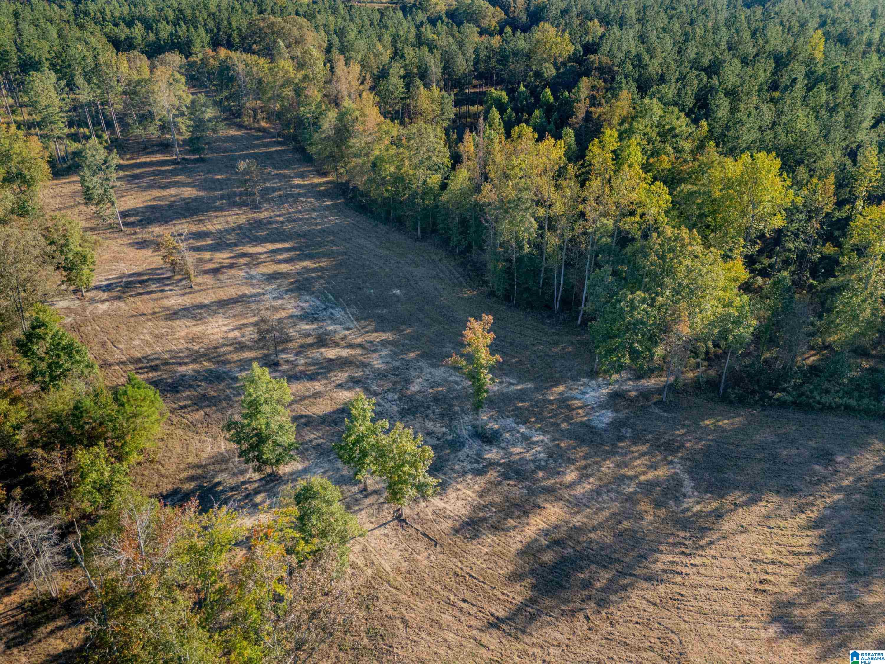 14381 County Road 66 0