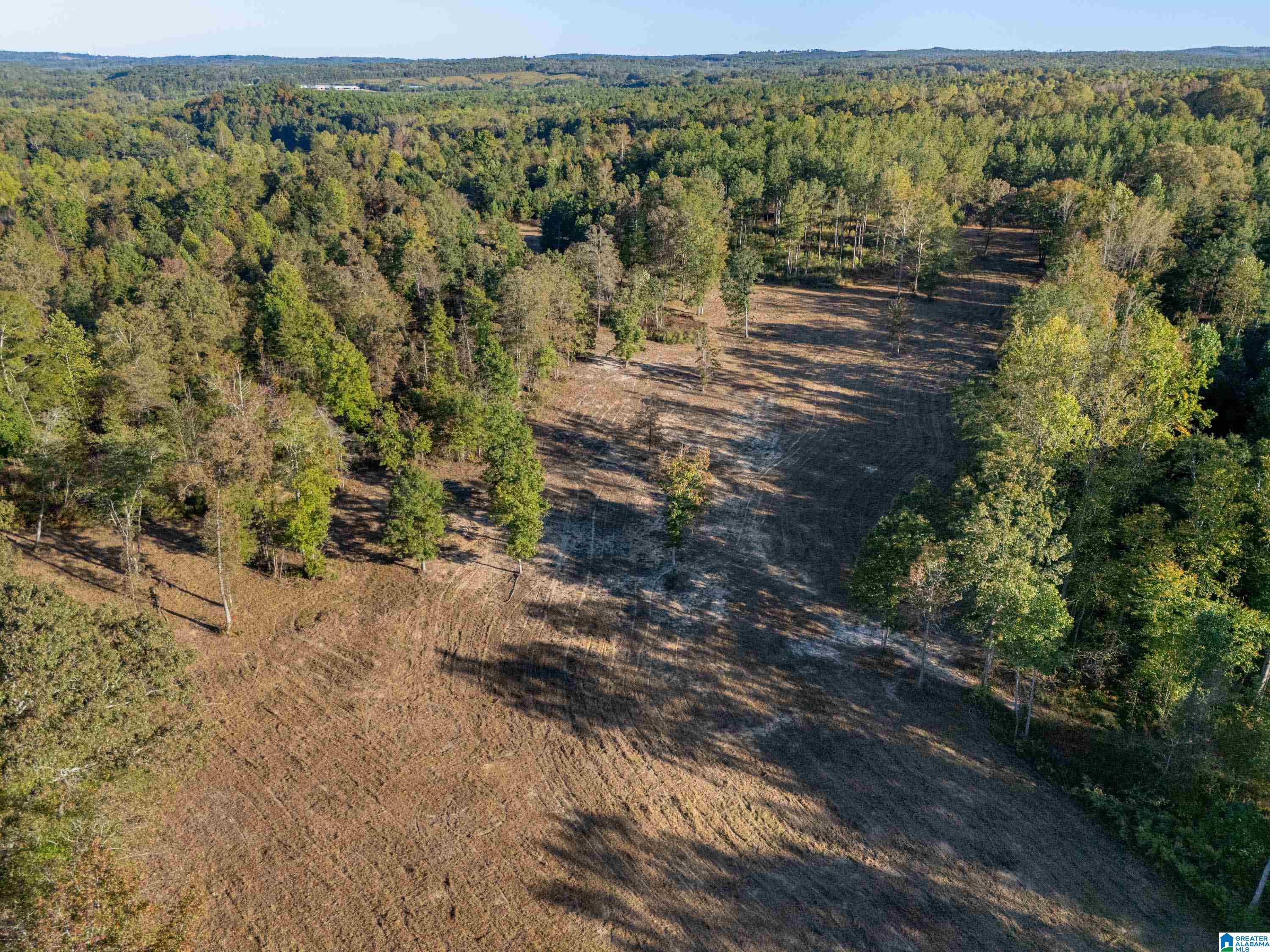 14381 County Road 66 0