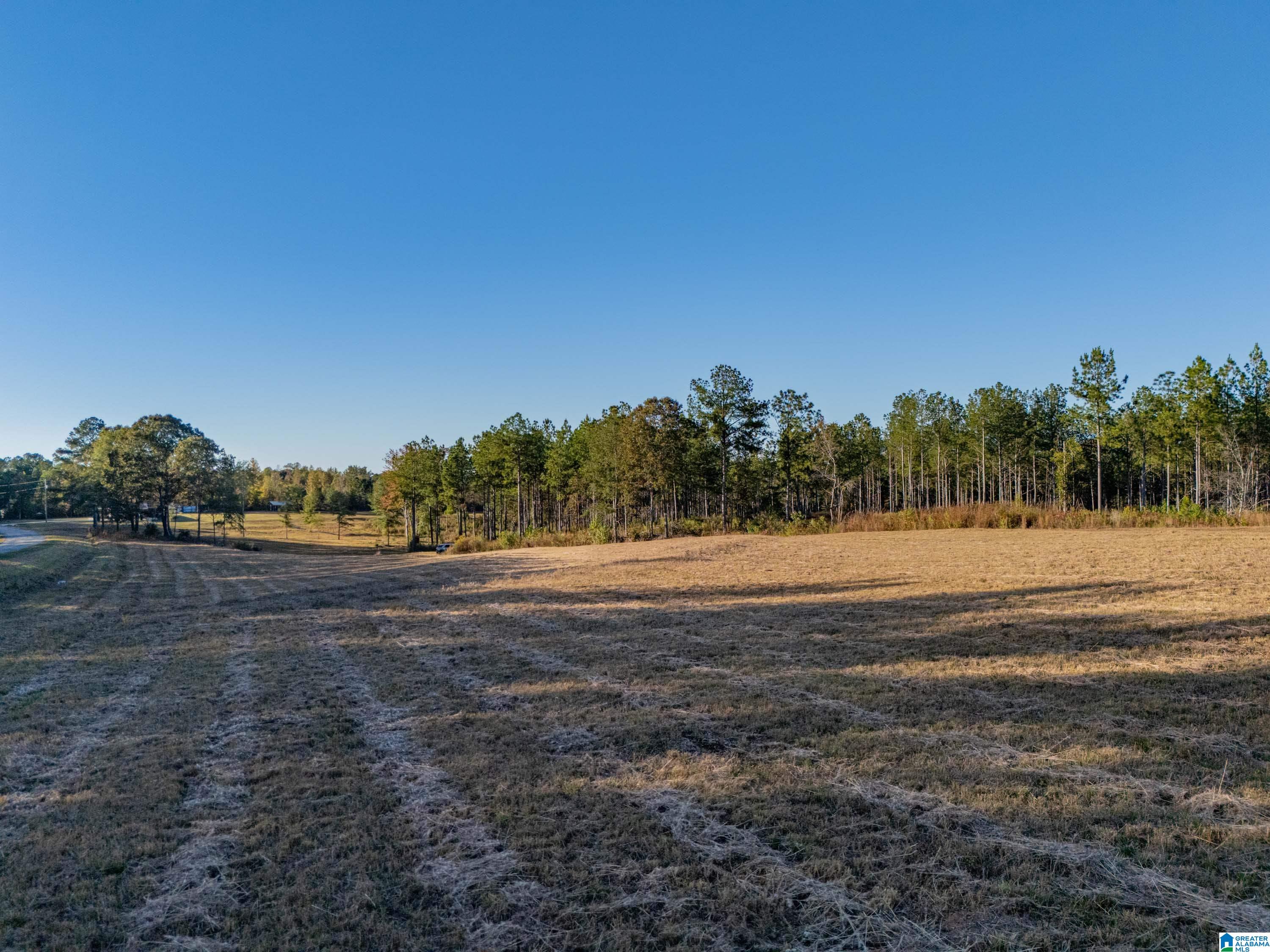 14381 County Road 66 0