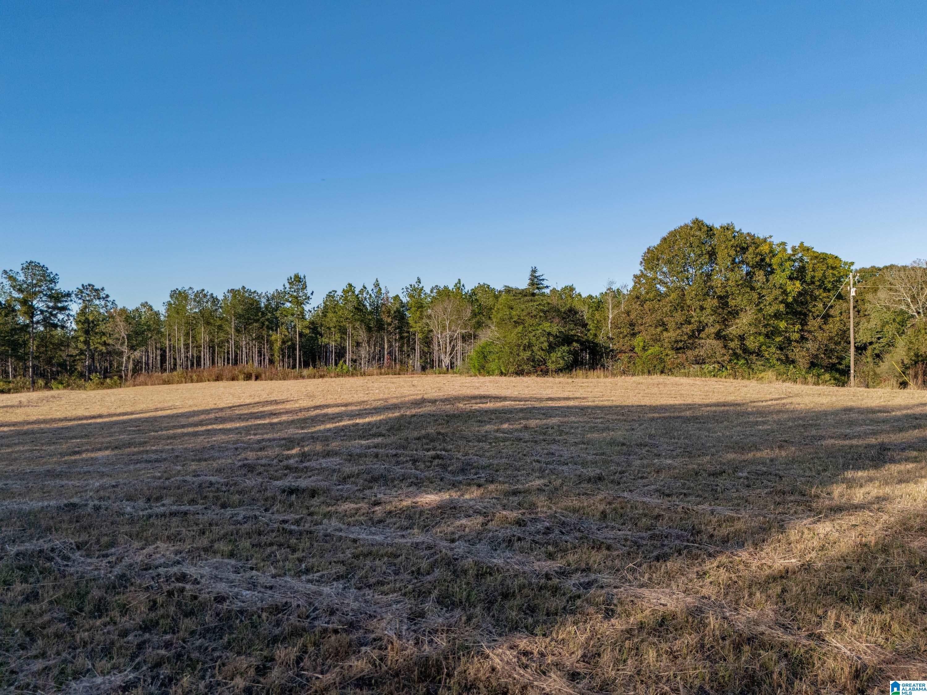 14381 County Road 66 0
