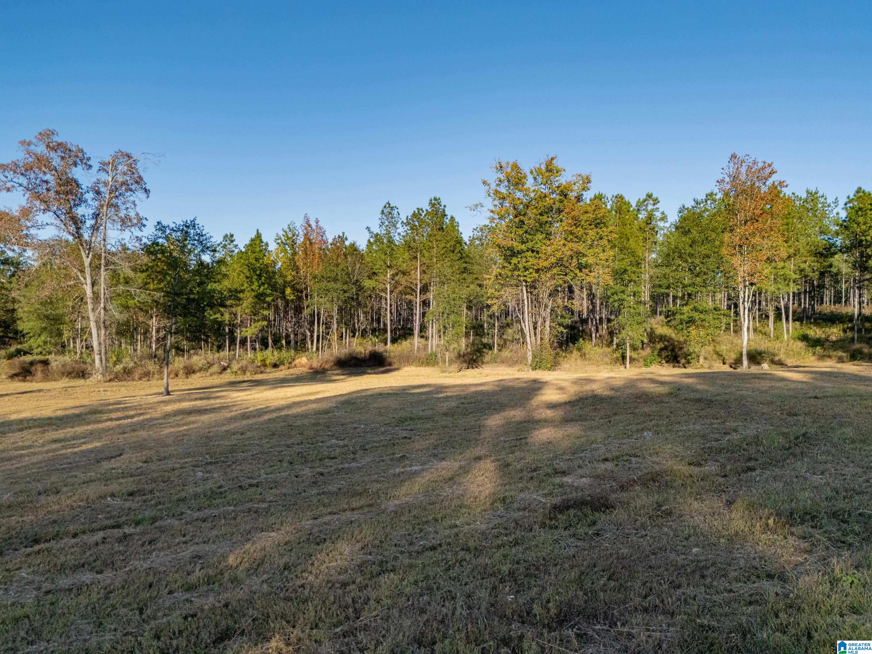 14381 County Road 66 0