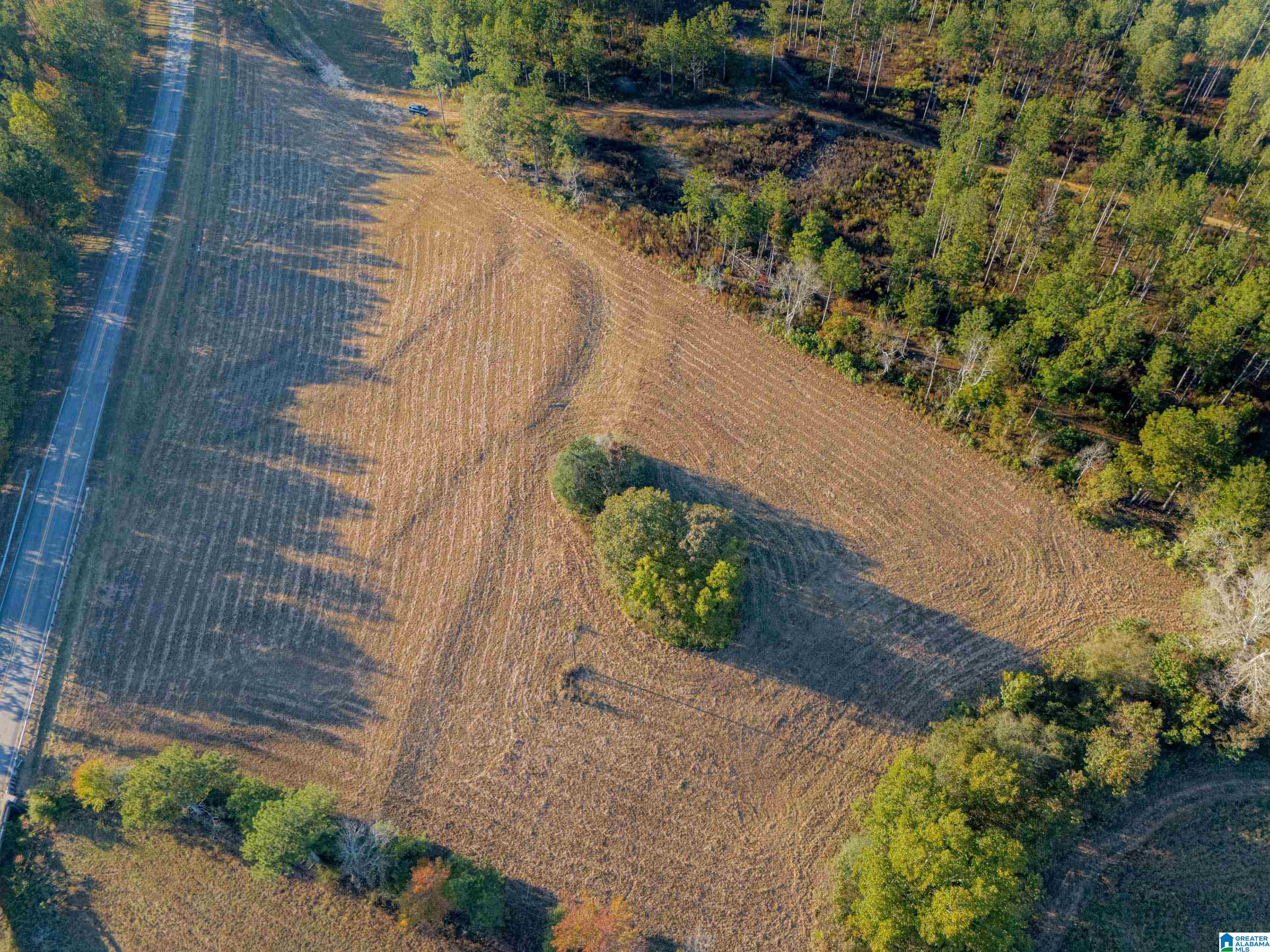 14381 County Road 66 0