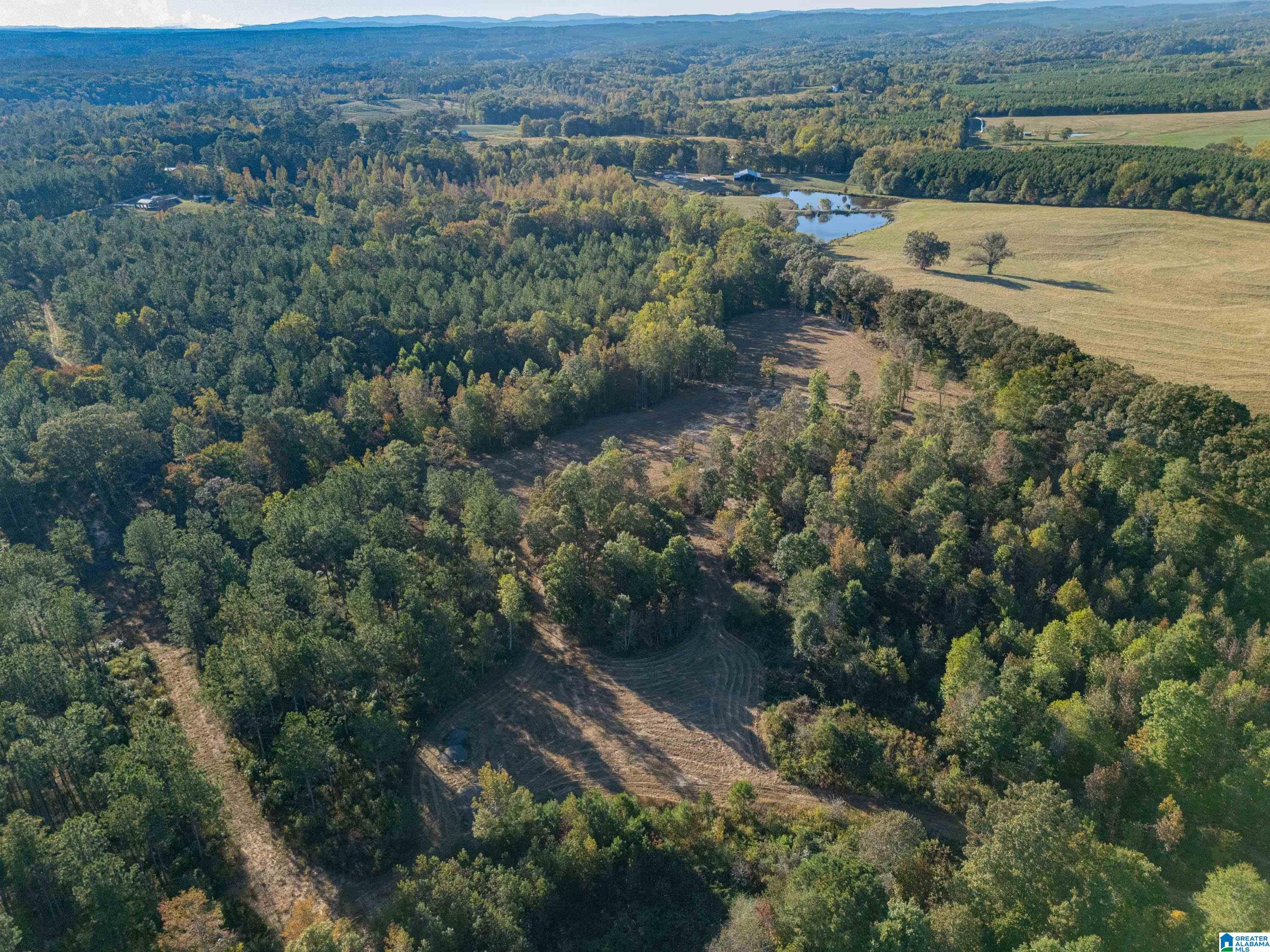 14381 County Road 66 0