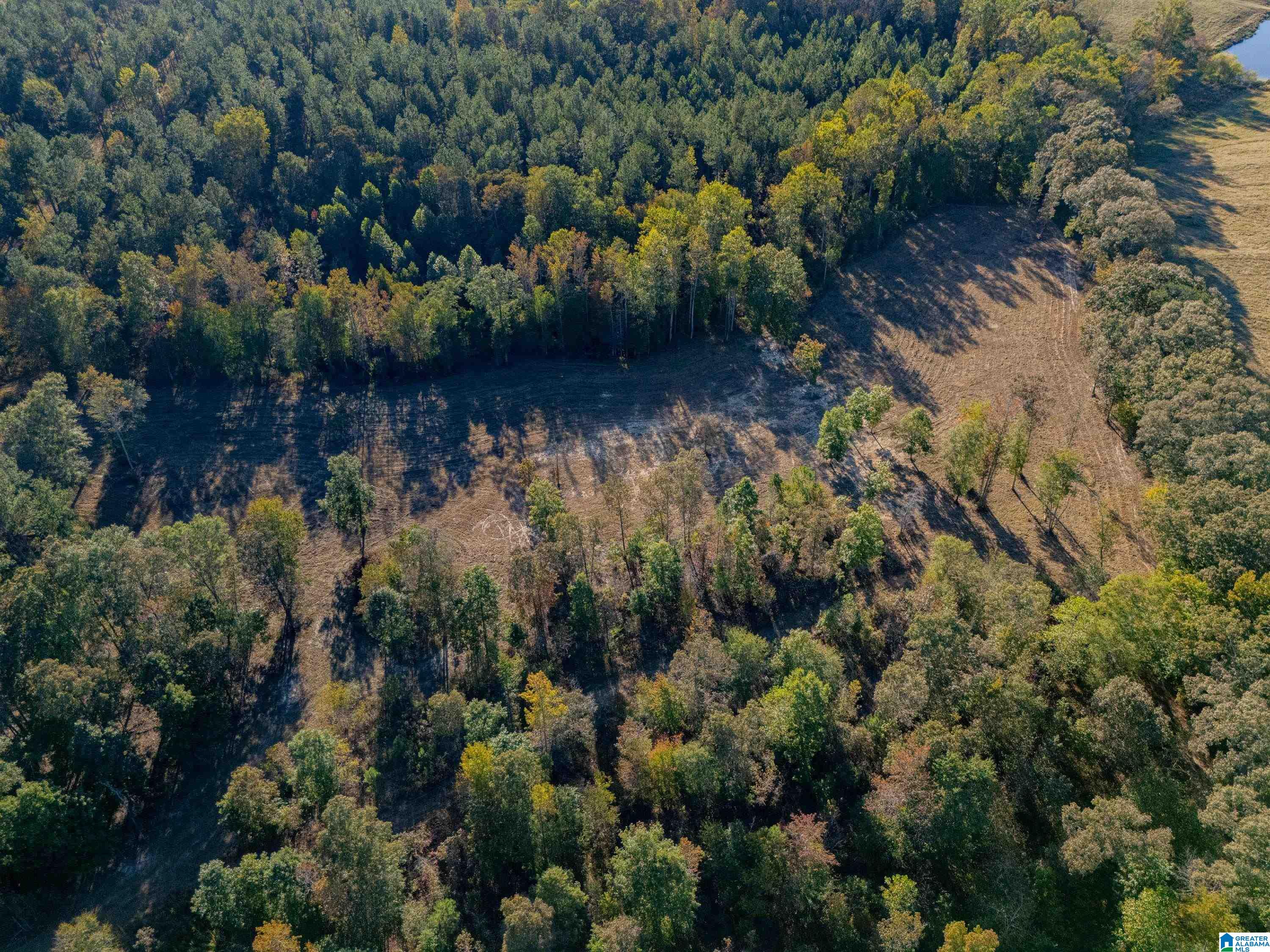 14381 County Road 66 0