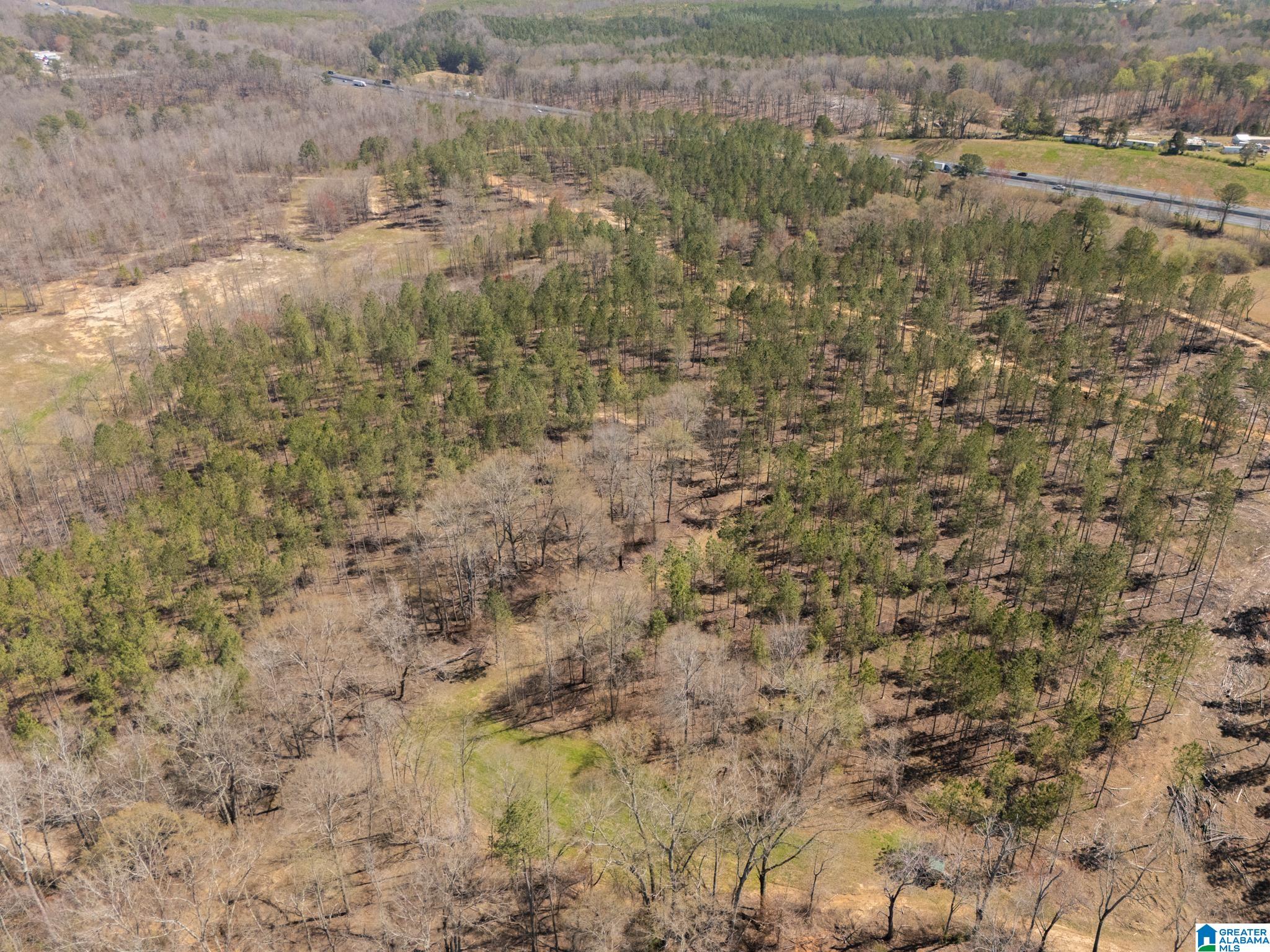 14381 County Road 66 0