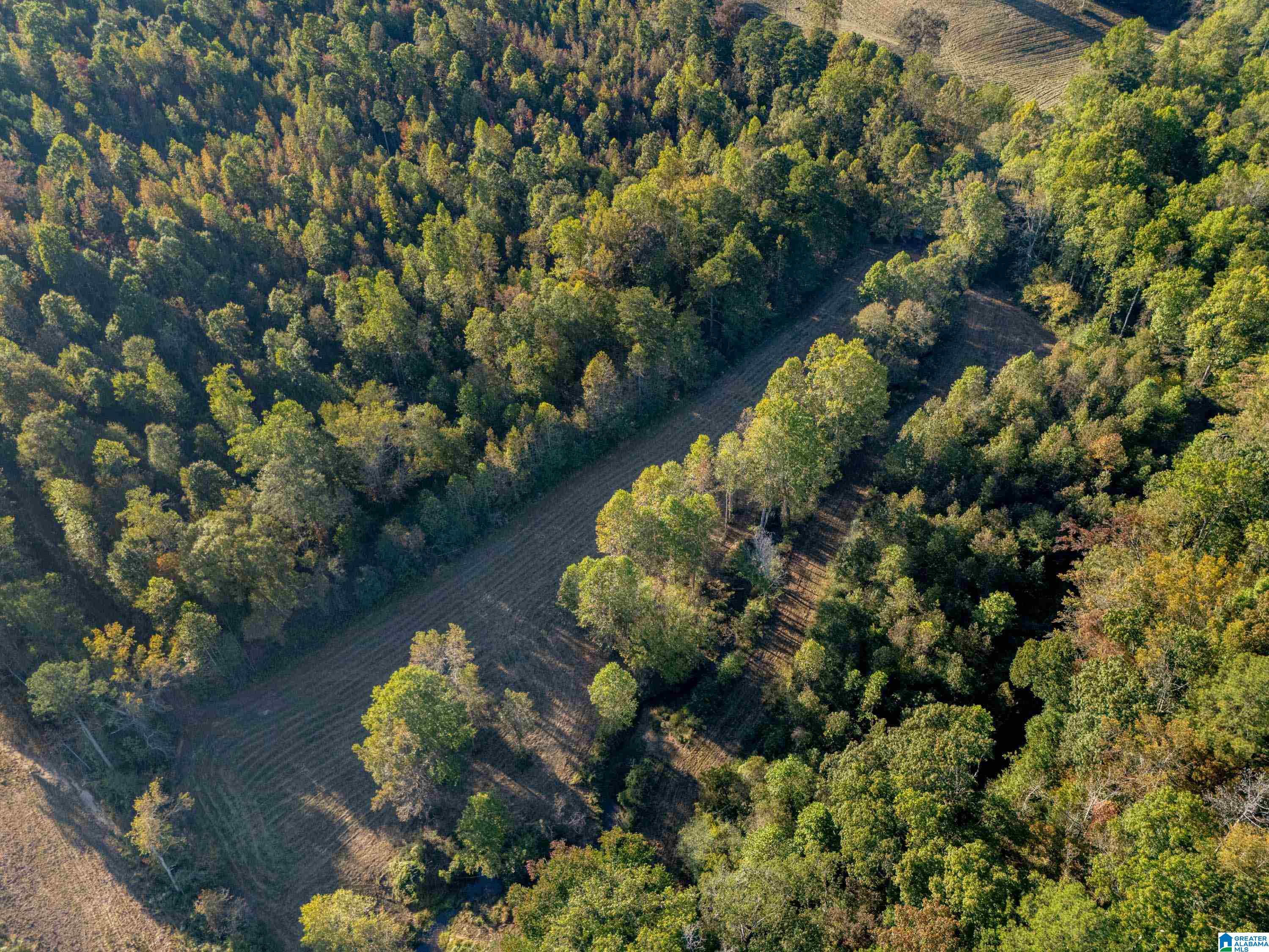 14381 County Road 66 0