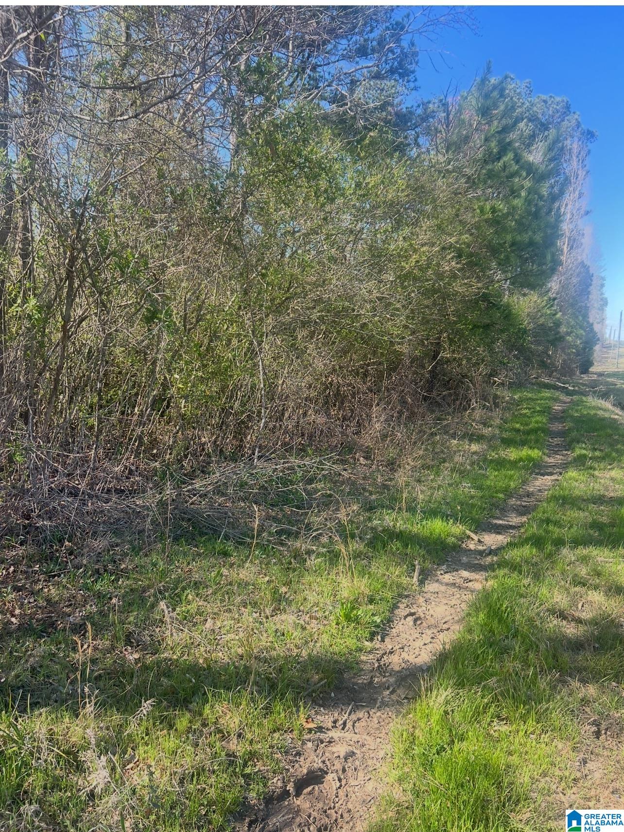Homes for sale in Ohatchee, AL | 0 Alabama Hwy 77, Ohatchee, AL 36271 | MLS# 21413831