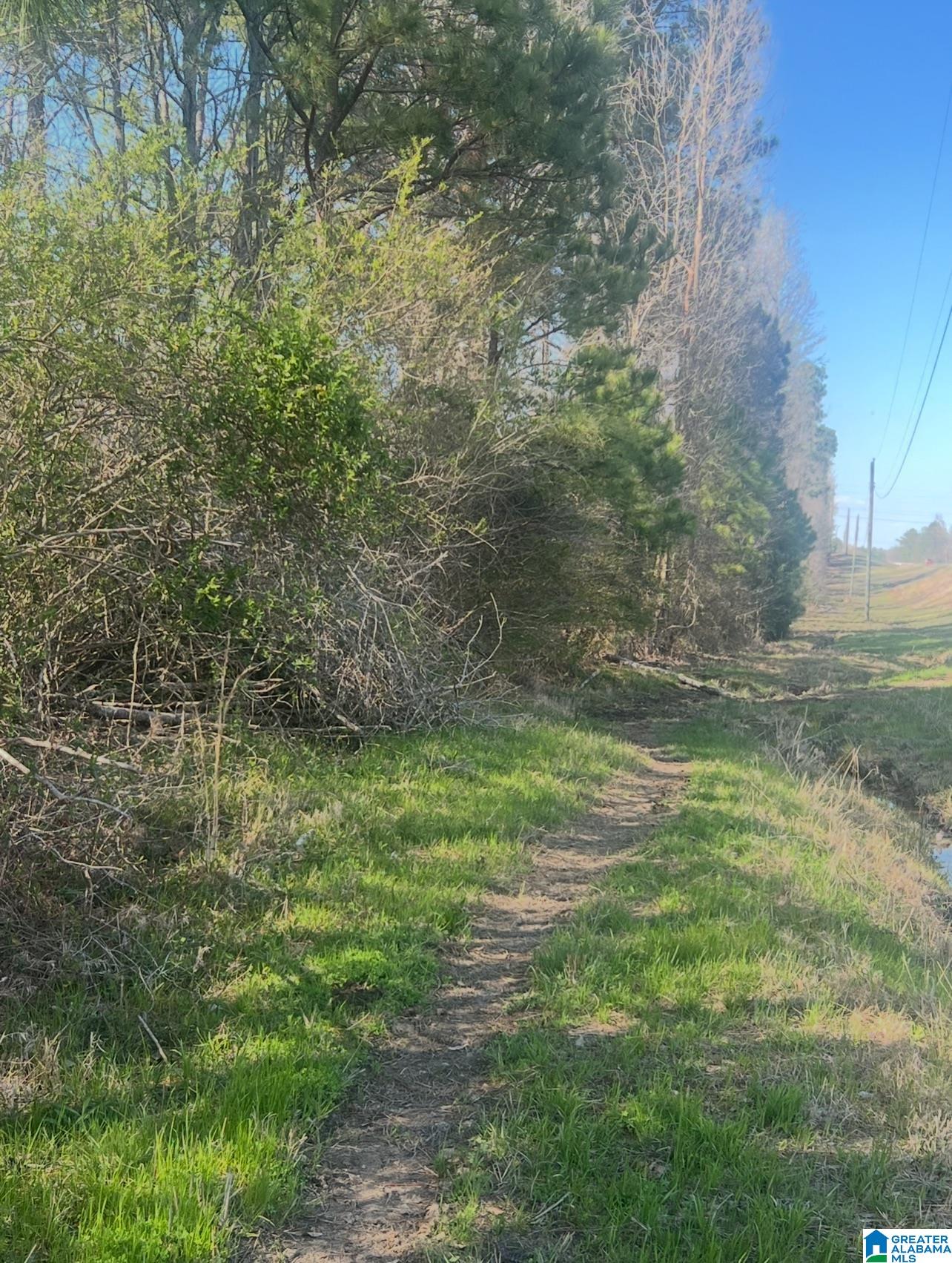 Homes for sale in Ohatchee, AL | 0 Alabama Hwy 77, Ohatchee, AL 36271 | MLS# 21413831