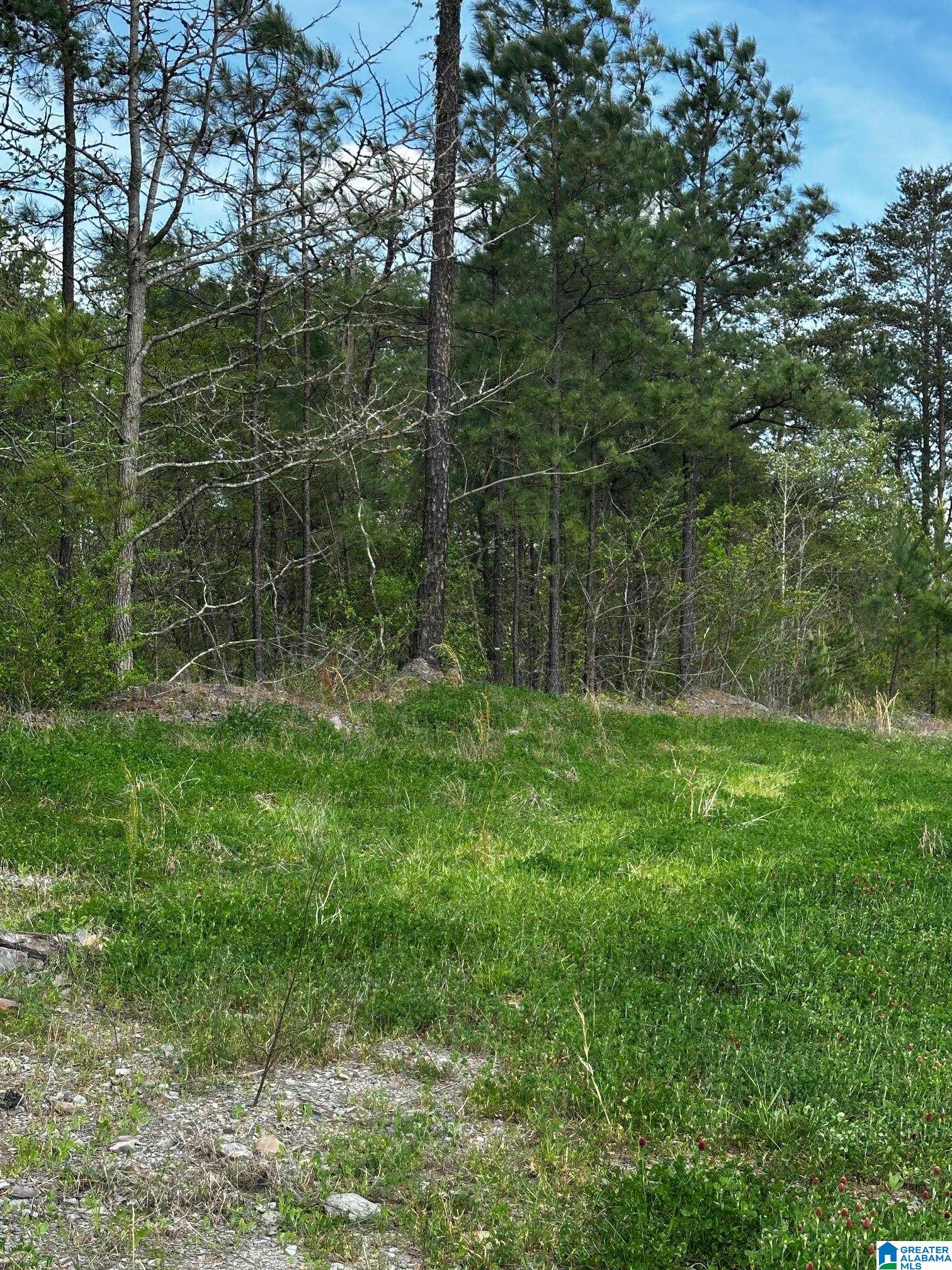 Homes for sale in Dora, AL | 3600 Glovers Bend Road, Dora, AL 35062 | MLS# 21414008