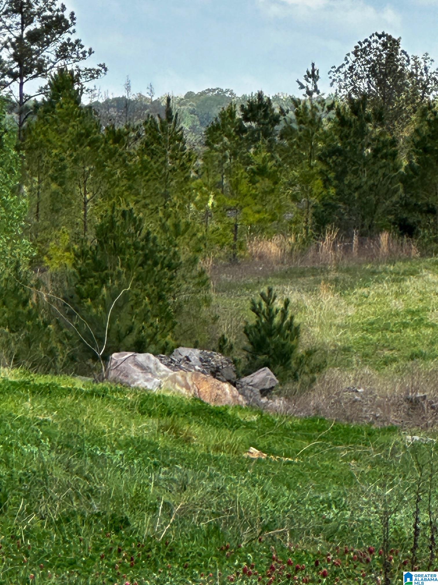 Homes for sale in Dora, AL | 3600 Glovers Bend Road, Dora, AL 35062 | MLS# 21414008