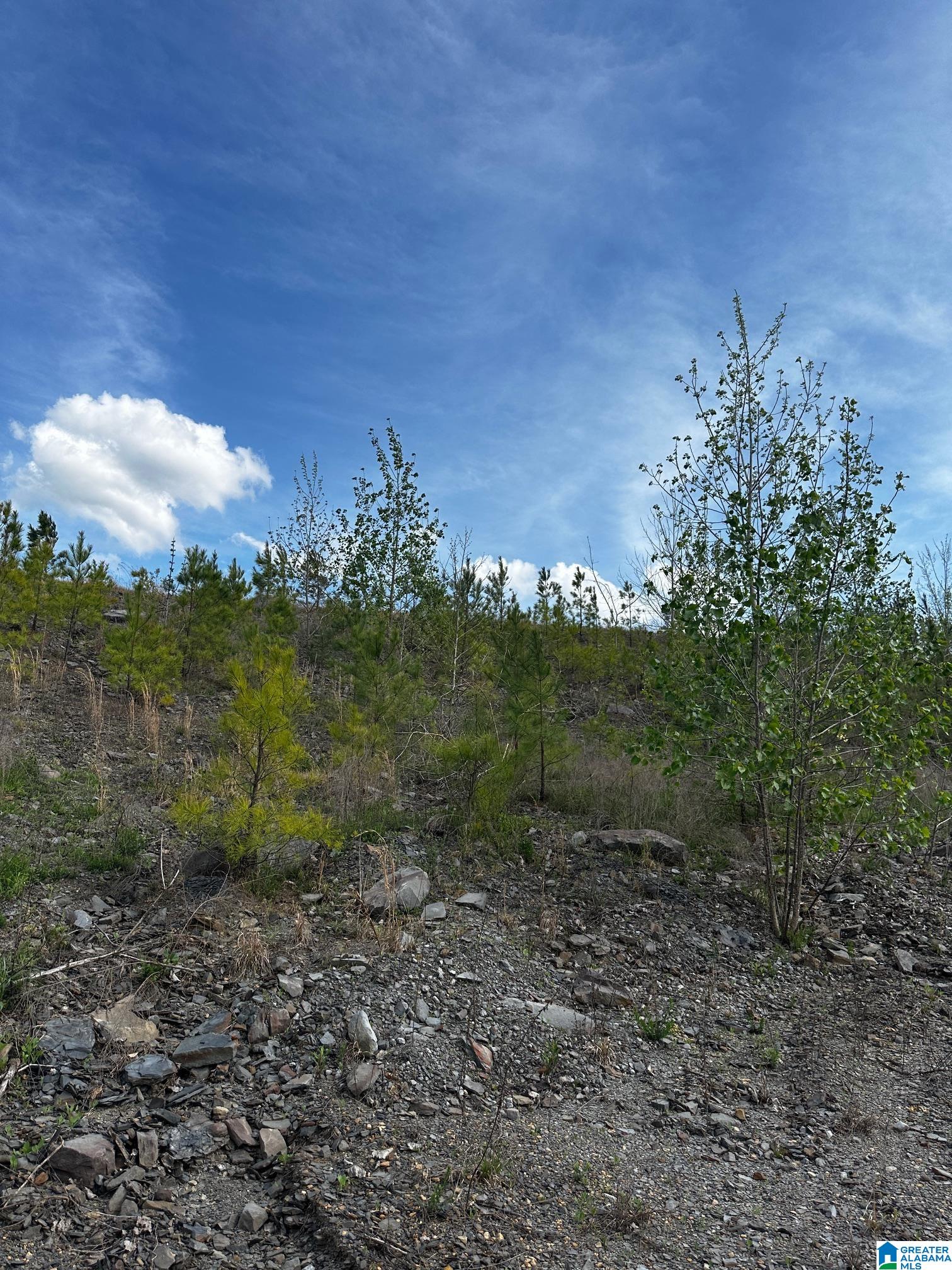 Homes for sale in Dora, AL | 2730 Glovers Bend Road, Dora, AL 35062 | MLS# 21414009