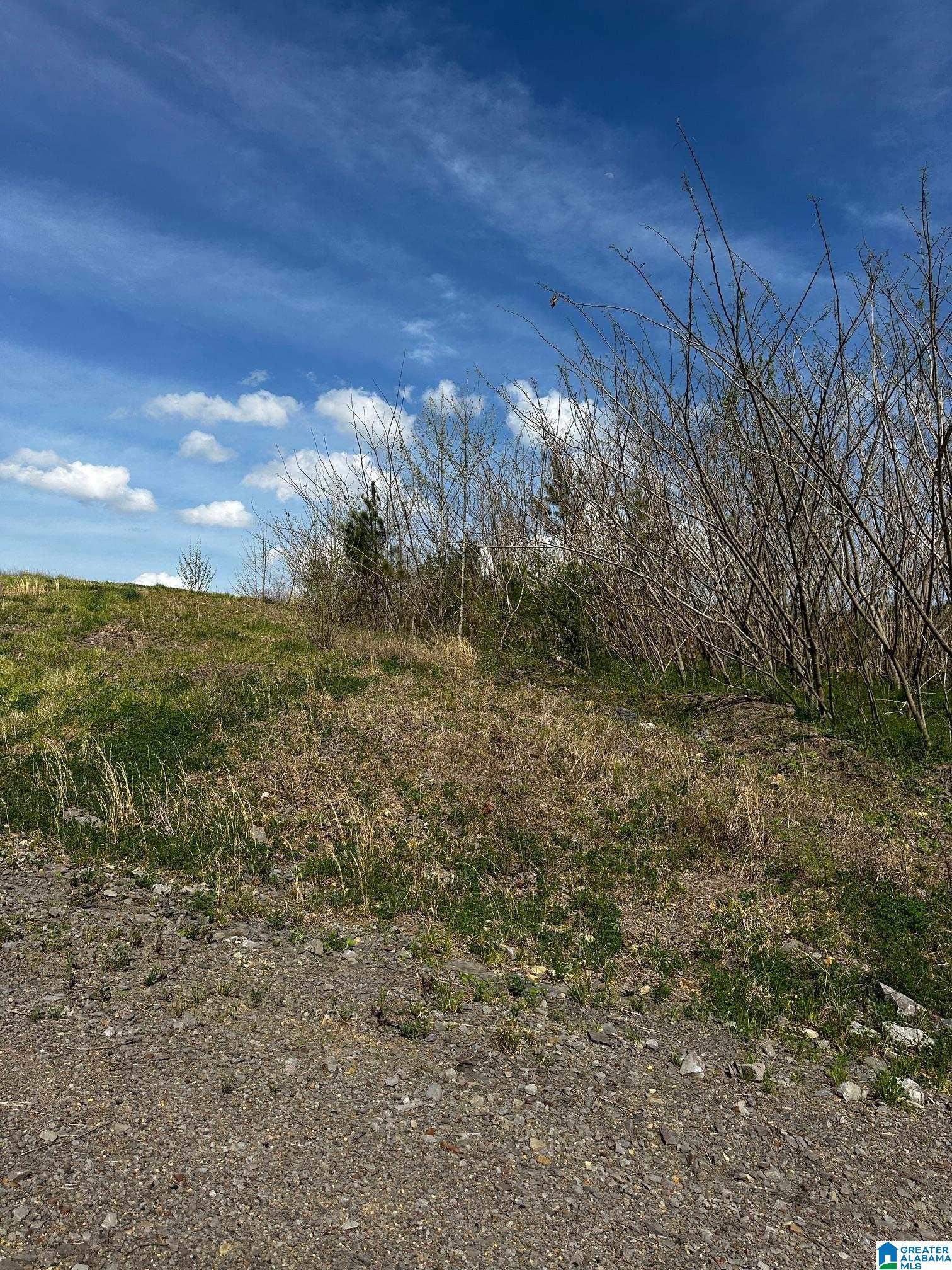 Homes for sale in Dora, AL | 2730 Glovers Bend Road, Dora, AL 35062 | MLS# 21414009