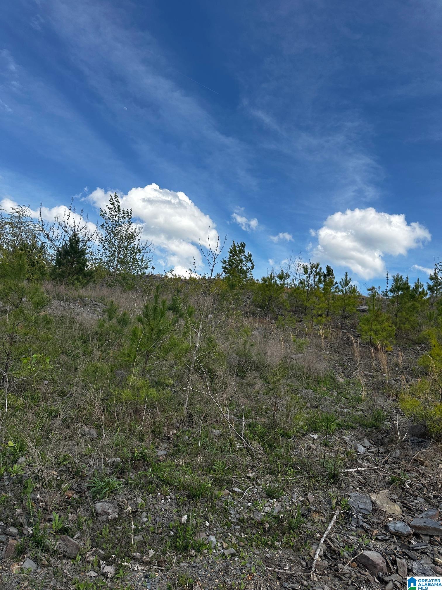 Homes for sale in Dora, AL | 2730 Glovers Bend Road, Dora, AL 35062 | MLS# 21414009