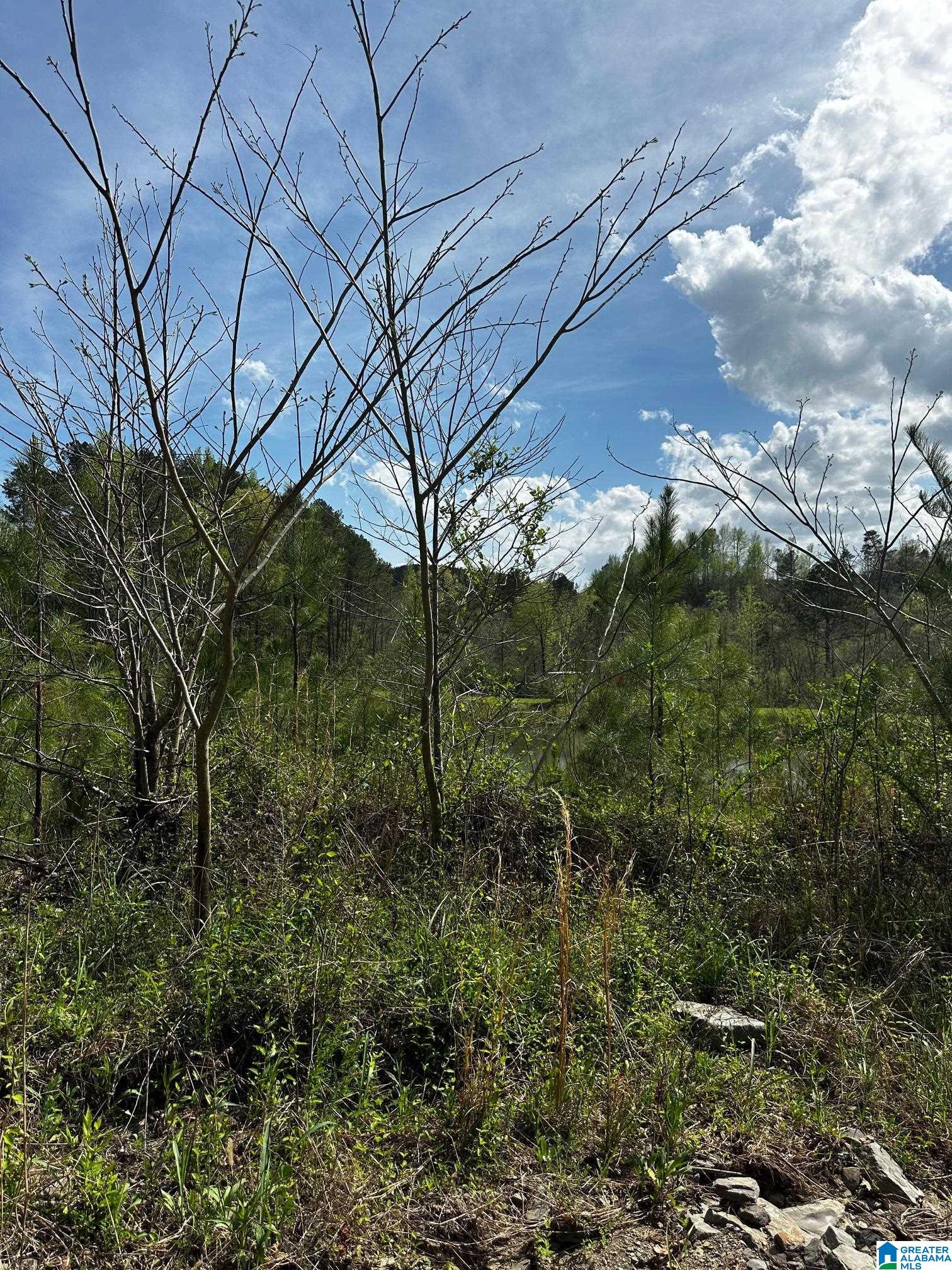 Homes for sale in Dora, AL | 2730 Glovers Bend Road, Dora, AL 35062 | MLS# 21414009