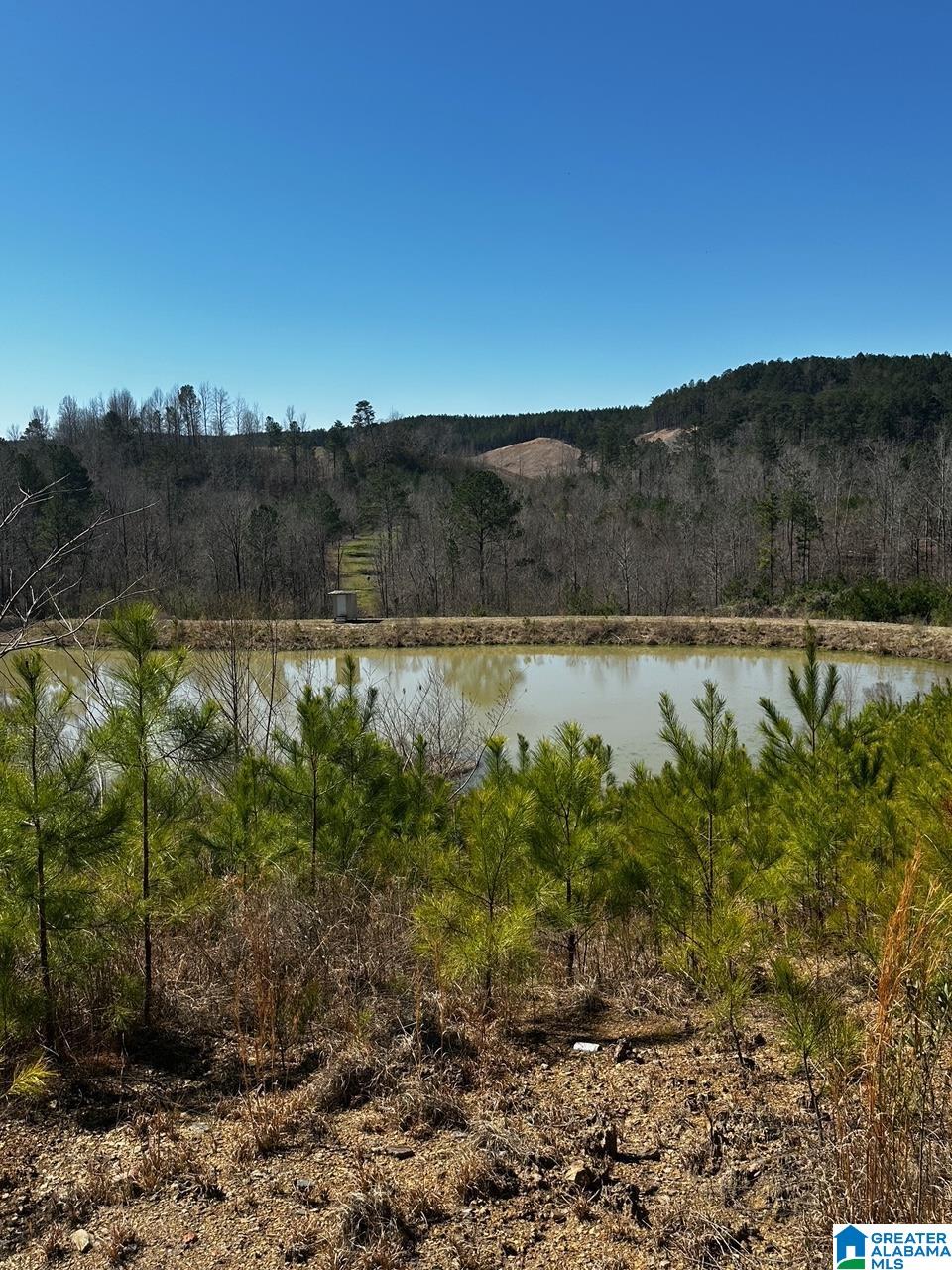 Homes for sale in Dora, AL | 3216 Glovers Bend Road, Dora, AL 35062 | MLS# 21414010