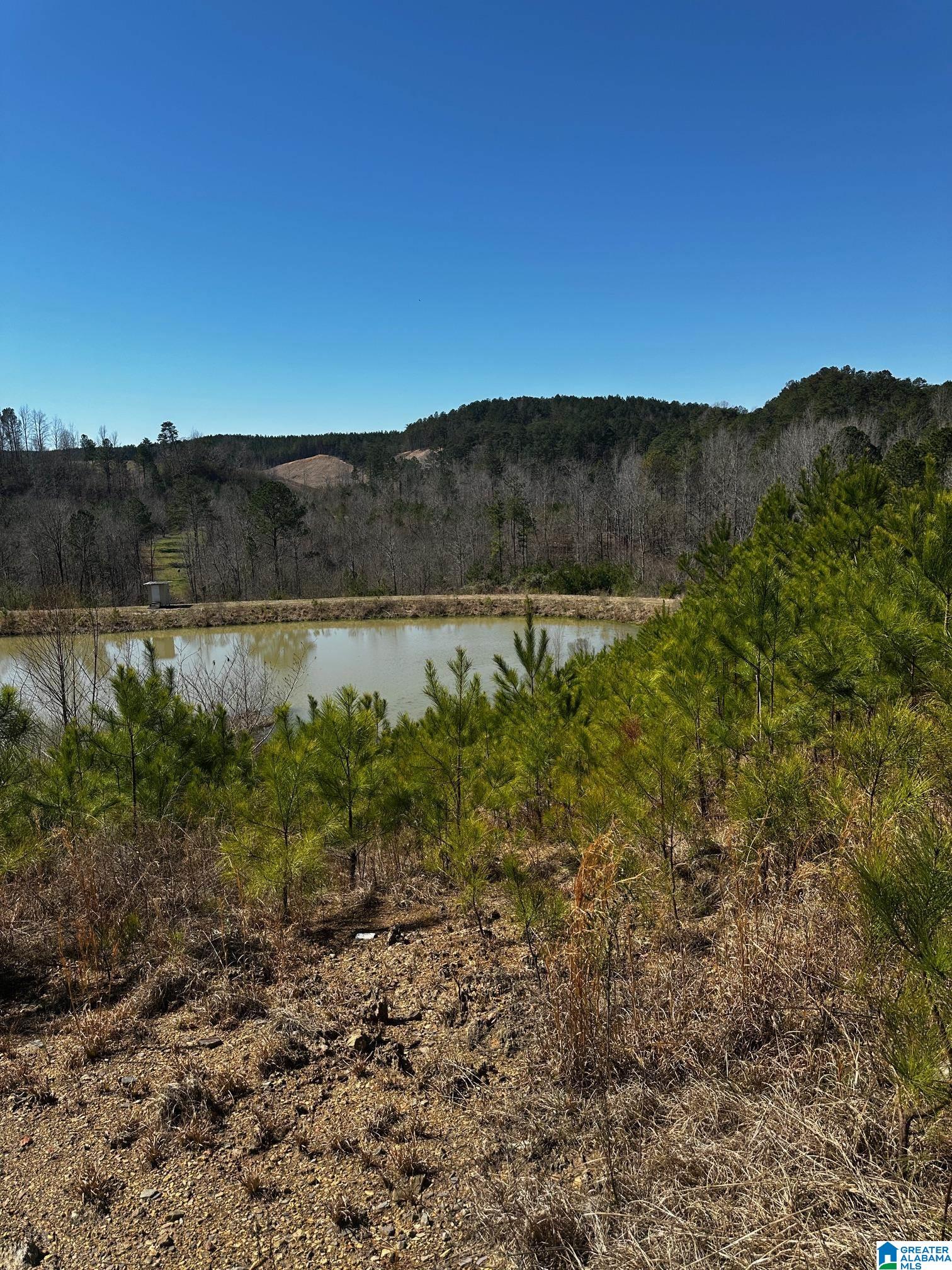 Homes for sale in Dora, AL | 3216 Glovers Bend Road, Dora, AL 35062 | MLS# 21414010