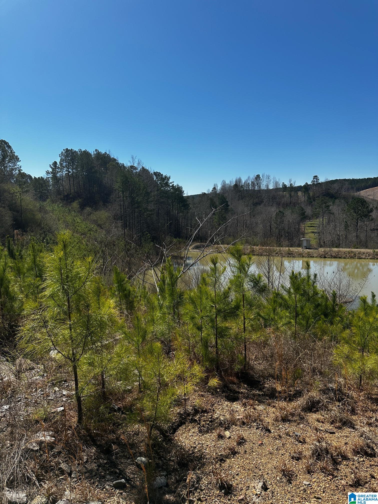 Homes for sale in Dora, AL | 3216 Glovers Bend Road, Dora, AL 35062 | MLS# 21414010