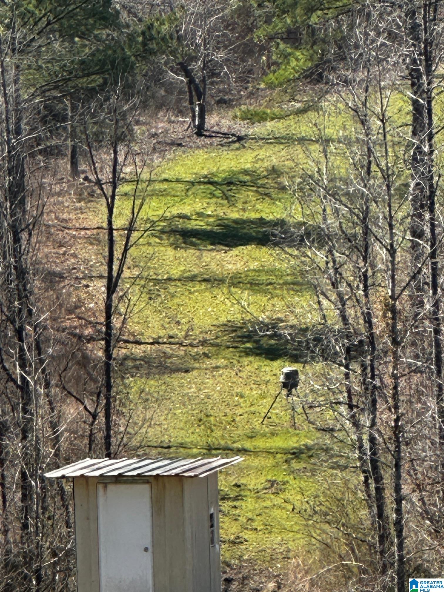 Homes for sale in Dora, AL | 3216 Glovers Bend Road, Dora, AL 35062 | MLS# 21414010