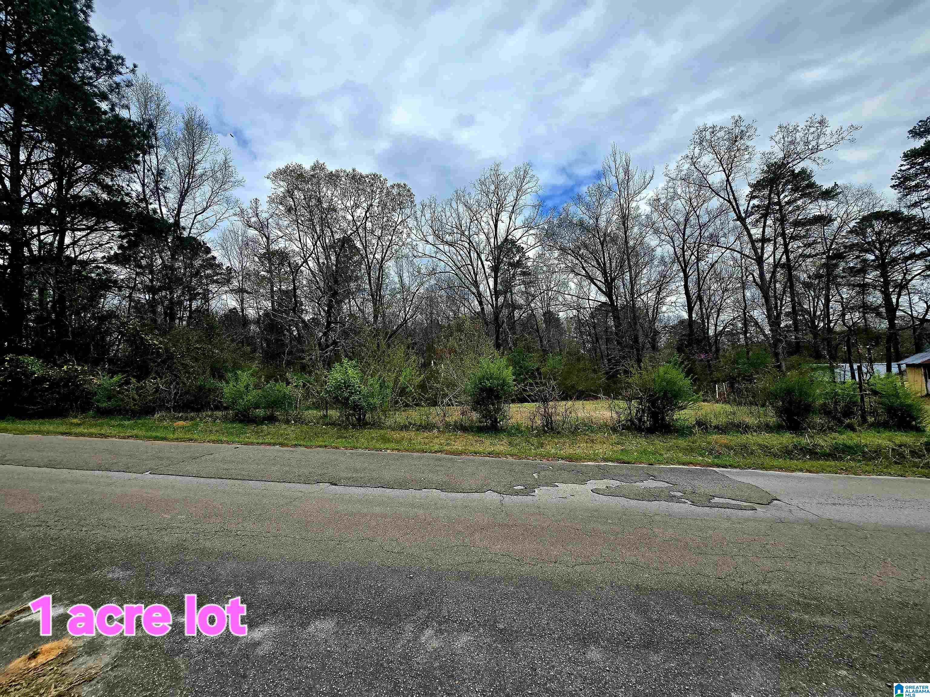 Homes for sale in Reform, AL | 816 4th Street Nw, Reform, AL 35481 | MLS# 21414055