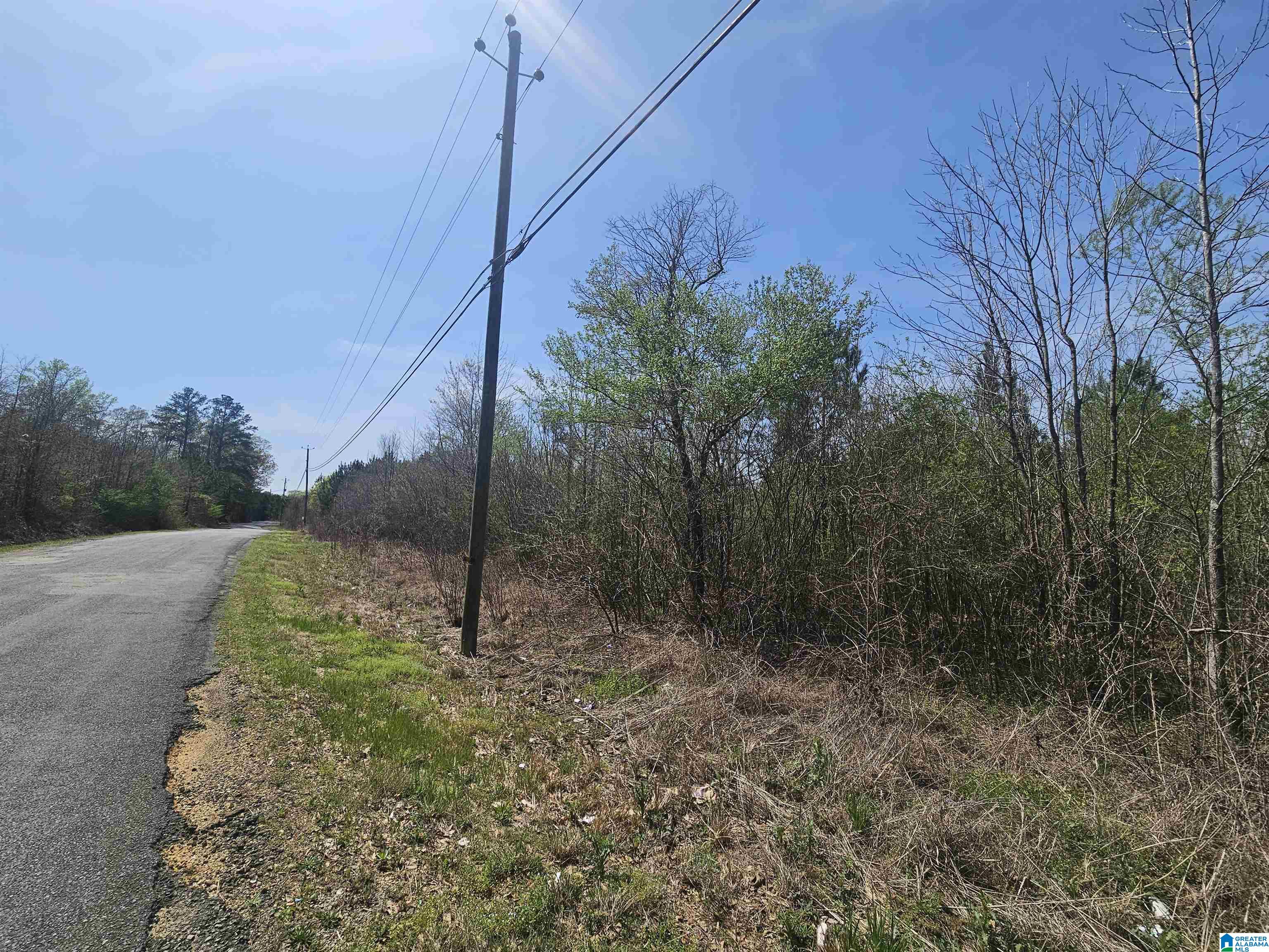 Homes for sale in Leeds, AL | 0 Trails End Road, Leeds, AL 35094 | MLS# 21414278