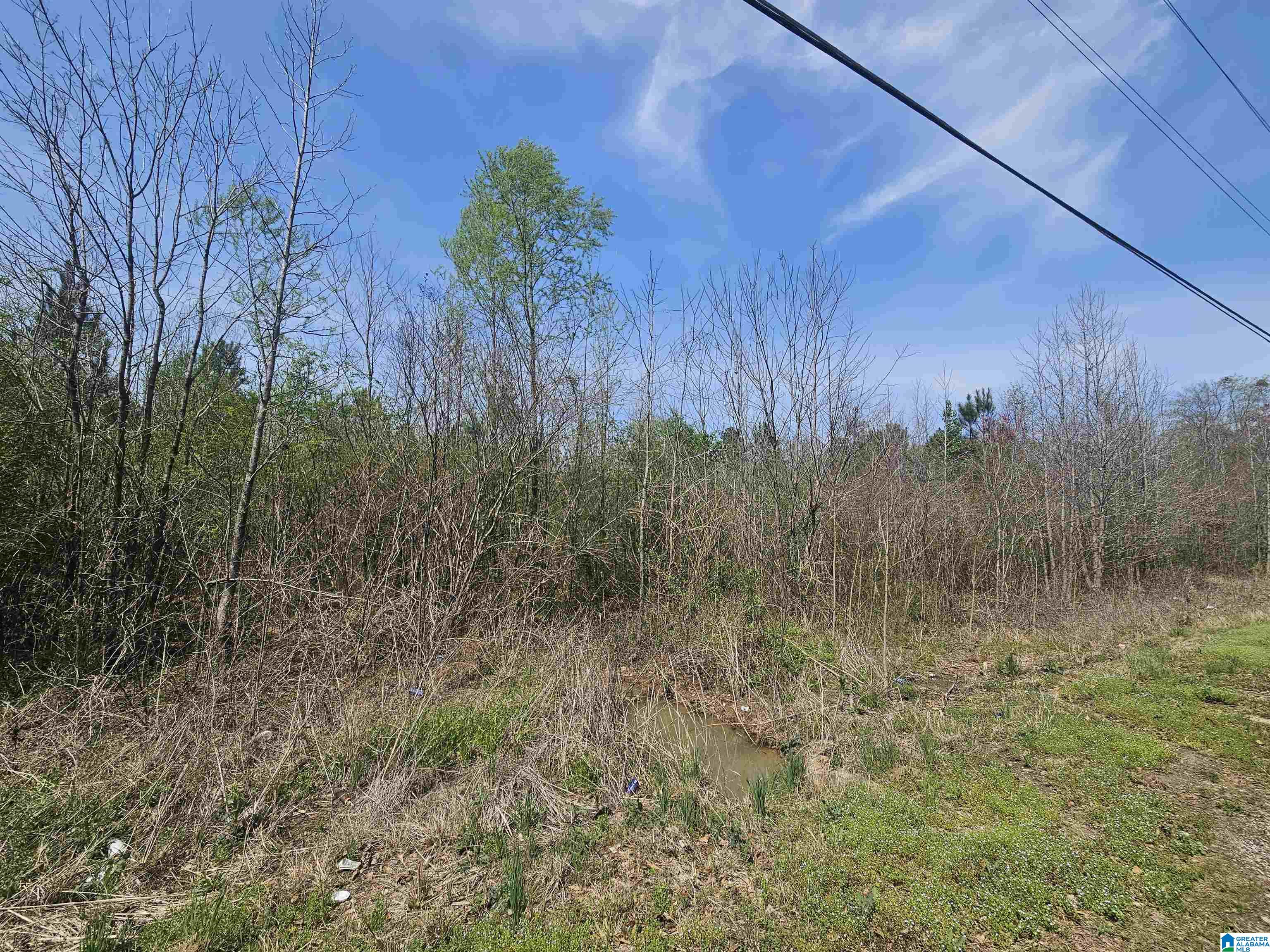 Homes for sale in Leeds, AL | 0 Trails End Road, Leeds, AL 35094 | MLS# 21414278