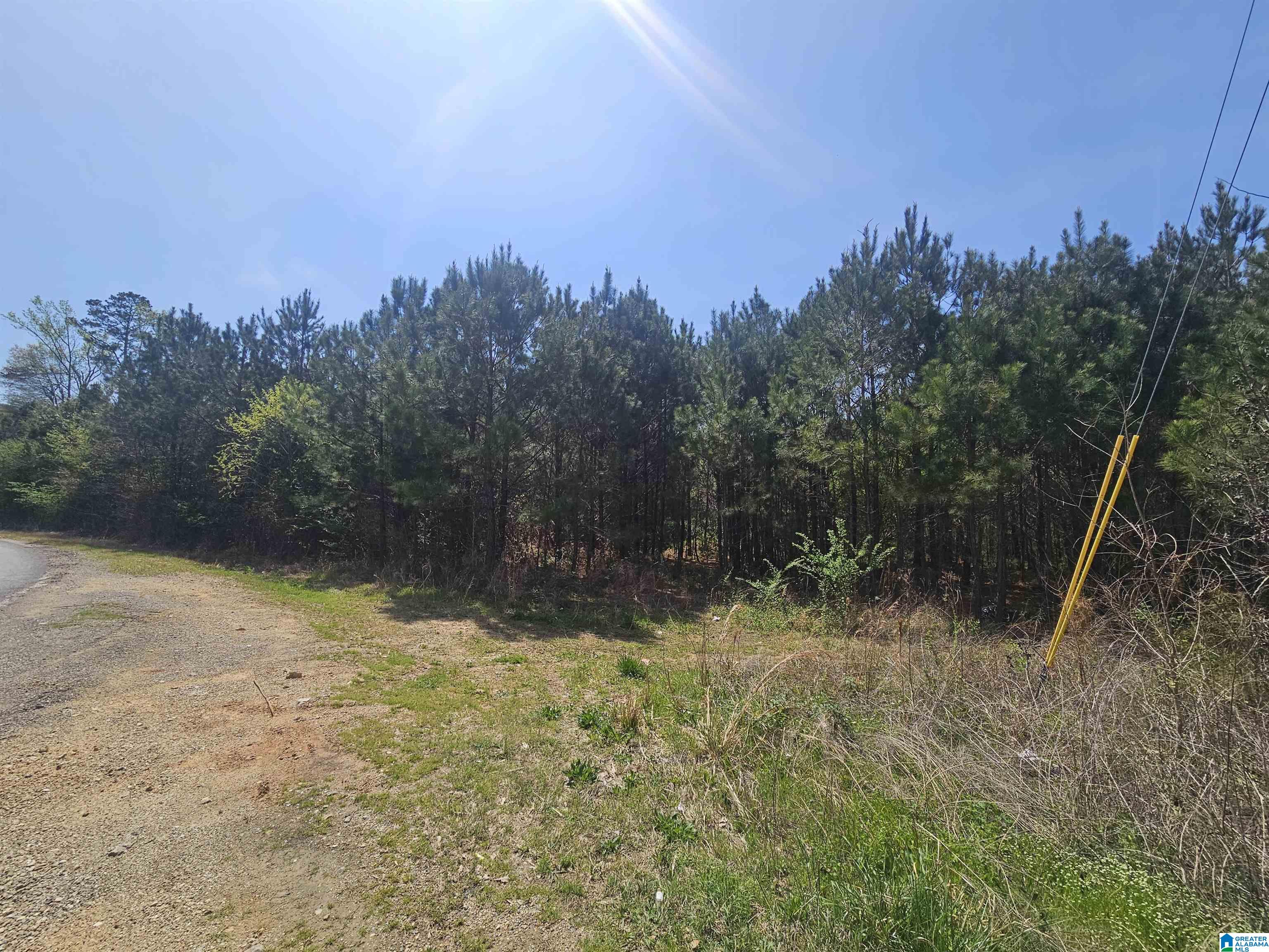 Homes for sale in Leeds, AL | 0 Trails End Road, Leeds, AL 35094 | MLS# 21414278