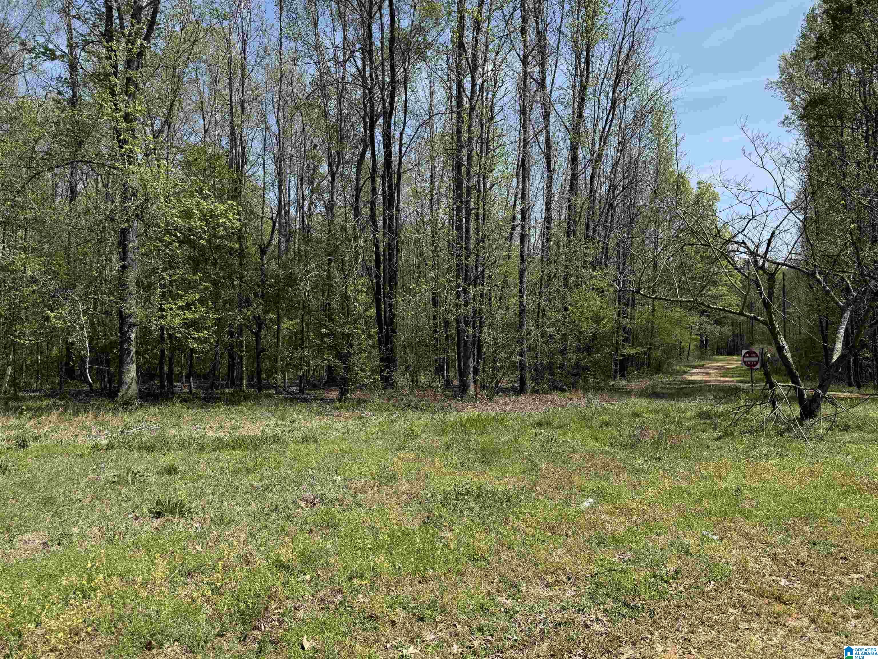 Homes for sale in Moundville, AL | 1781 Riverview Beach Road, Moundville, AL 35474 | MLS# 21414357