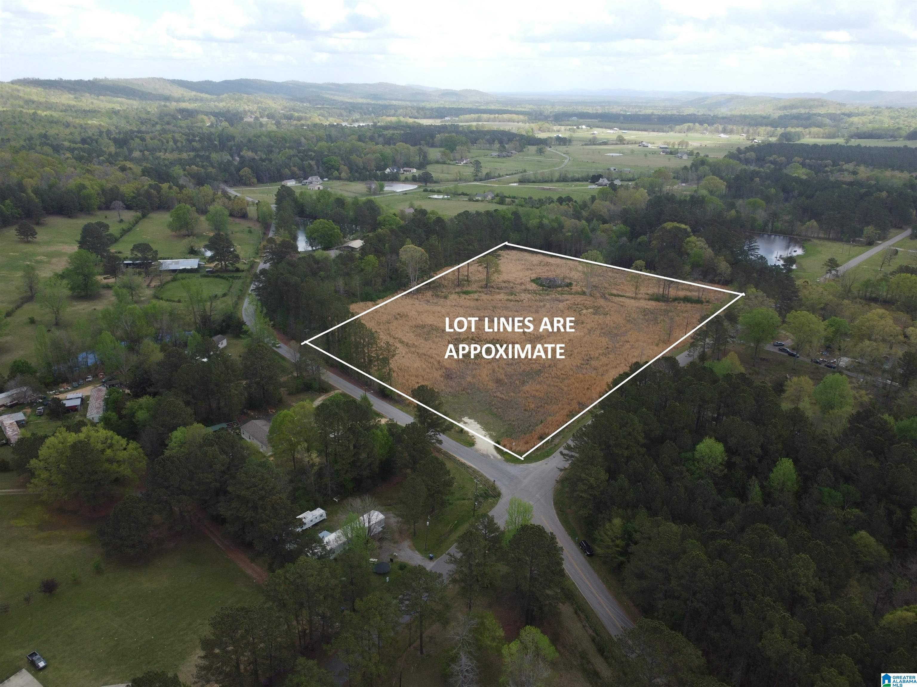 Homes for sale in Ashville, AL | 0 Greensport Road, Ashville, AL 35953 | MLS# 21414525