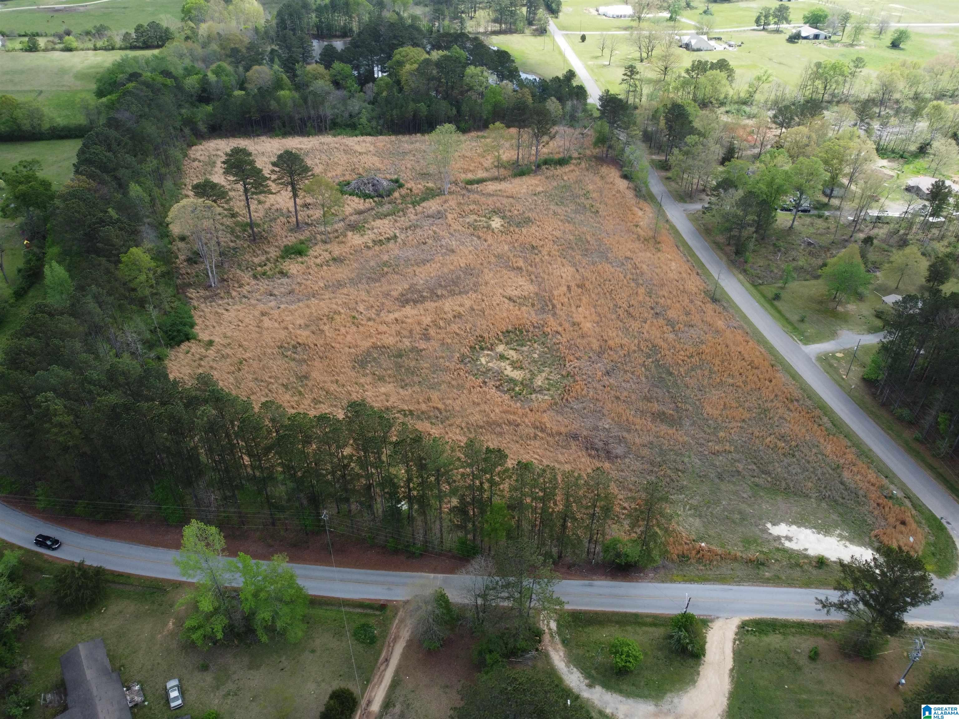 Homes for sale in Ashville, AL | 0 Greensport Road, Ashville, AL 35953 | MLS# 21414525