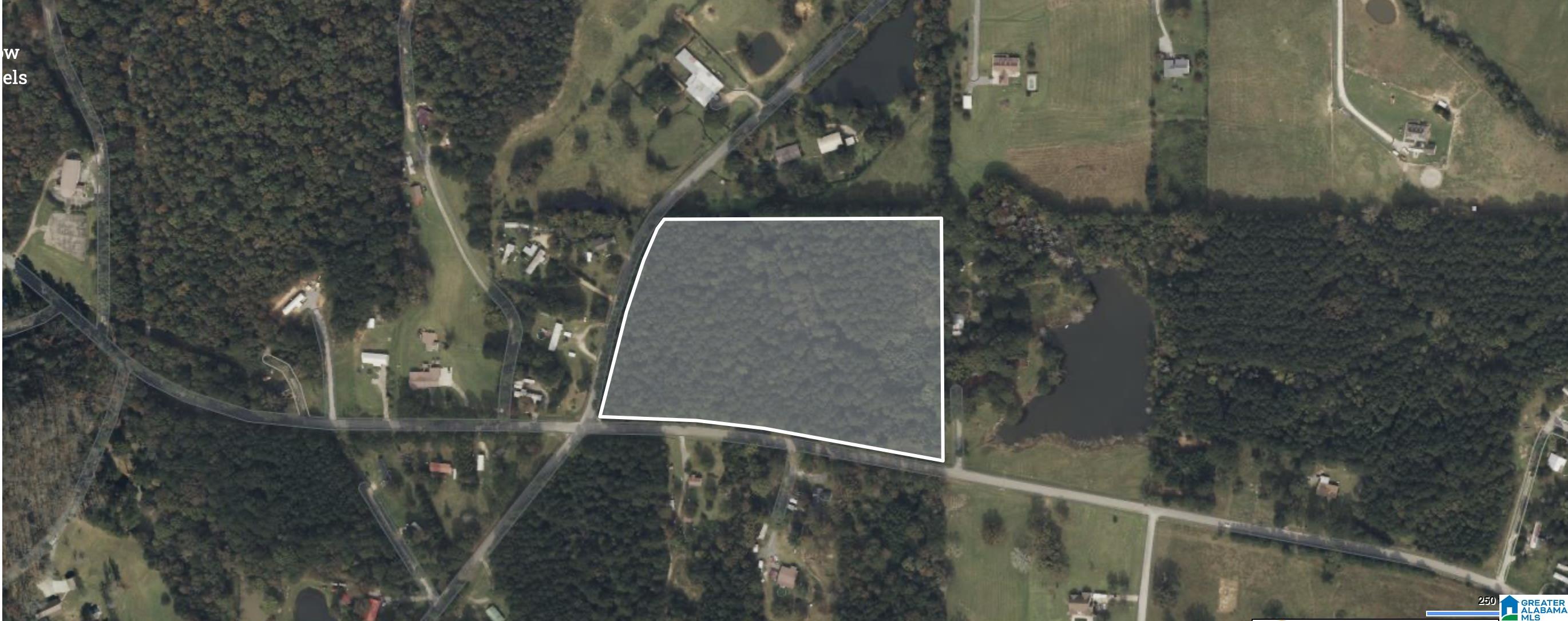 Homes for sale in Ashville, AL | 0 Greensport Road, Ashville, AL 35953 | MLS# 21414525