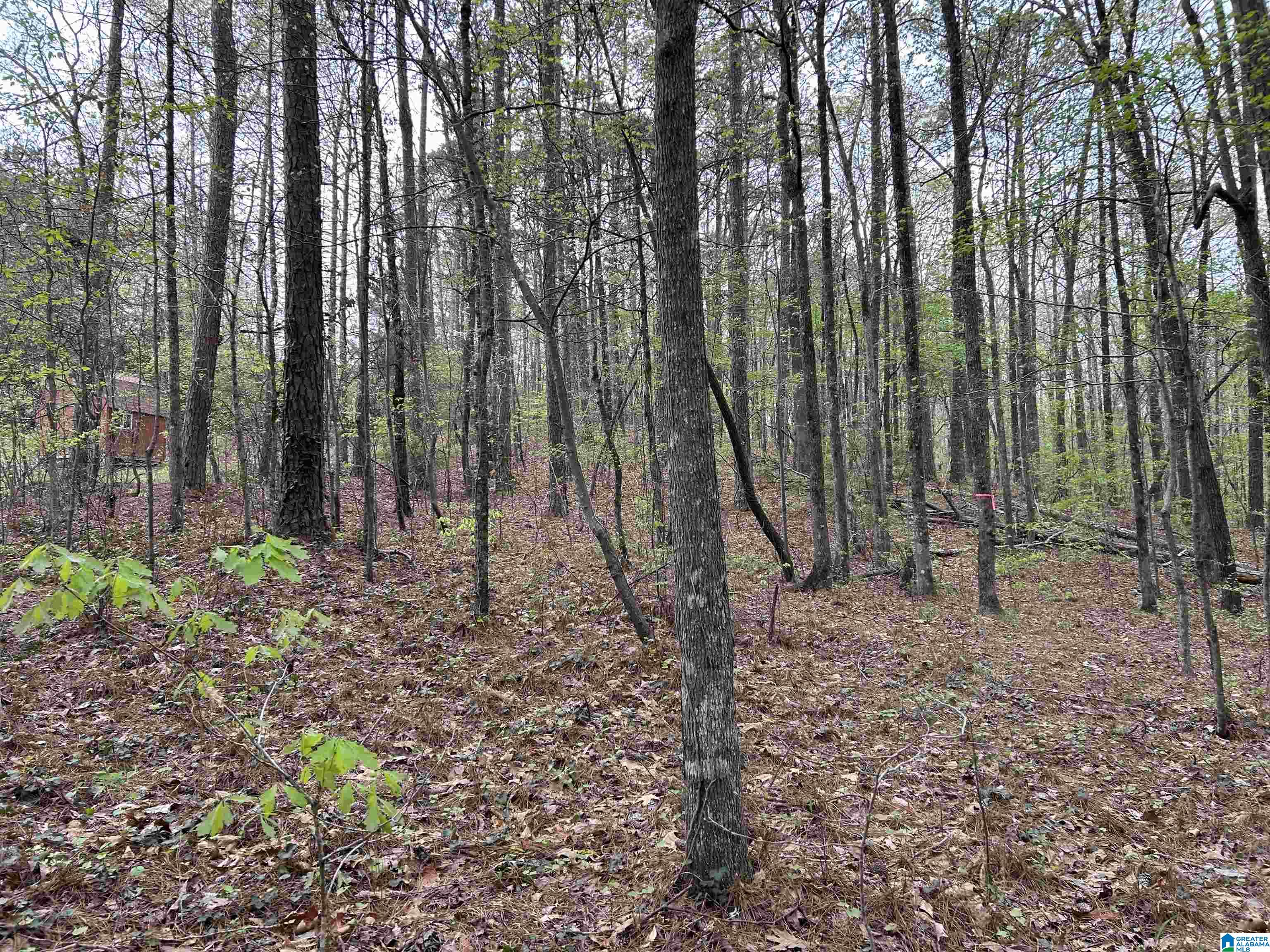 Homes for sale in Lakeview, AL | Lot 12 Circle Dr, Lakeview, AL 35111 | MLS# 21414635