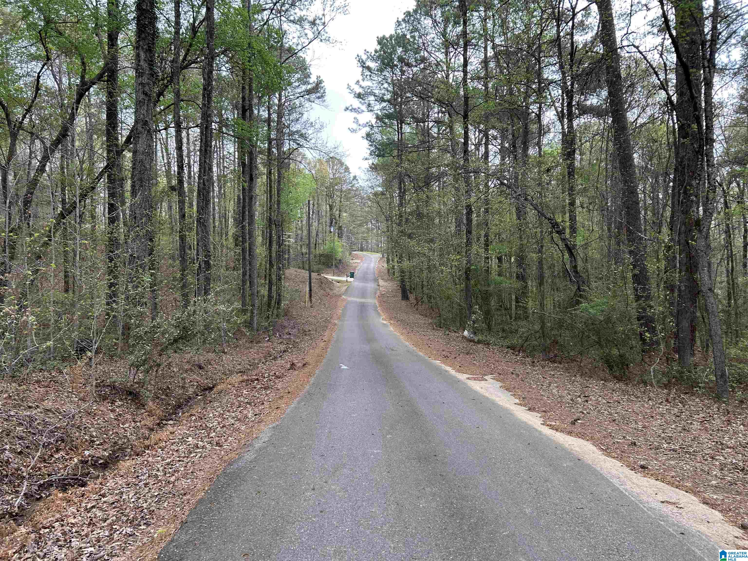 Homes for sale in Lakeview, AL | Lot 12 Circle Dr, Lakeview, AL 35111 | MLS# 21414635