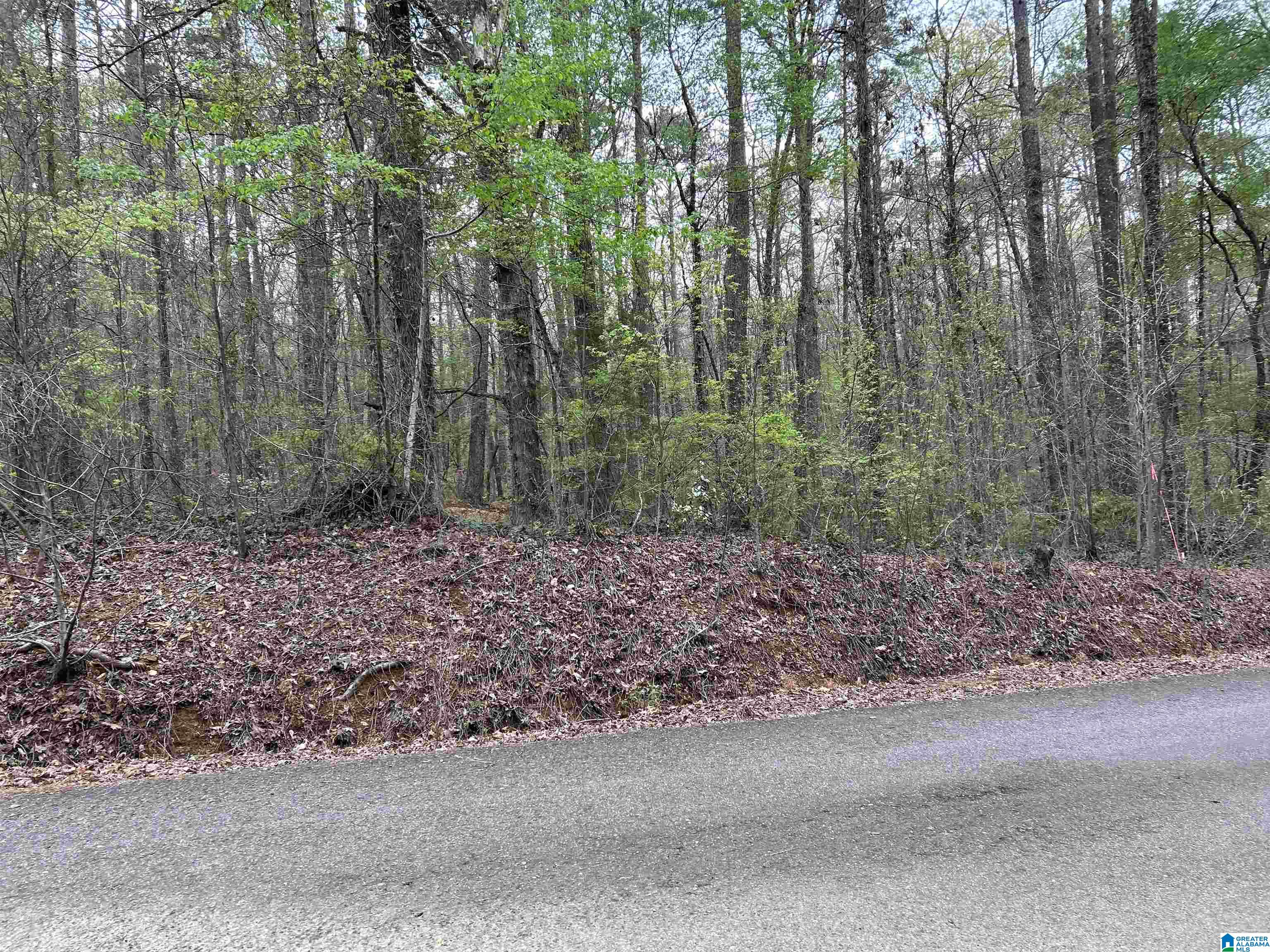 Homes for sale in Lakeview, AL | Lot 12 Circle Dr, Lakeview, AL 35111 | MLS# 21414635