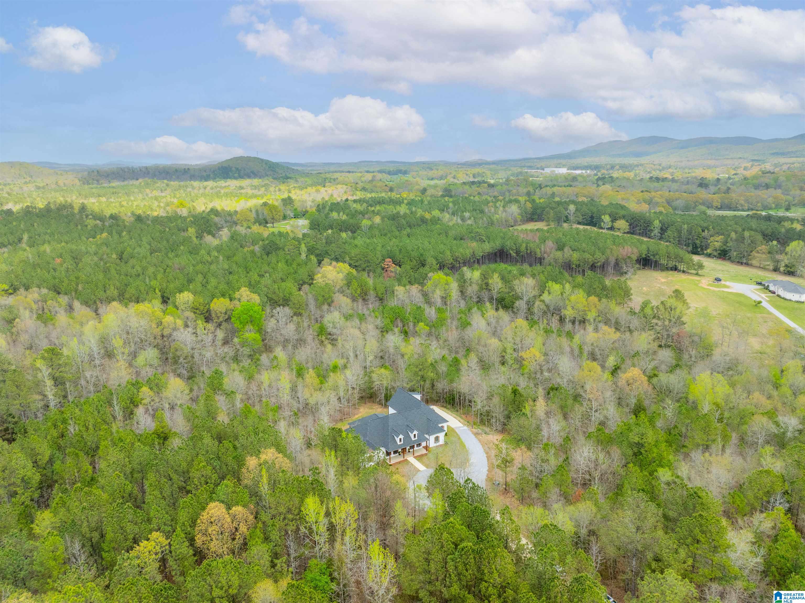 Homes for sale in Jacksonville, AL | 171 Carpenters Lane, Jacksonville, AL 36265 | MLS# 21414860