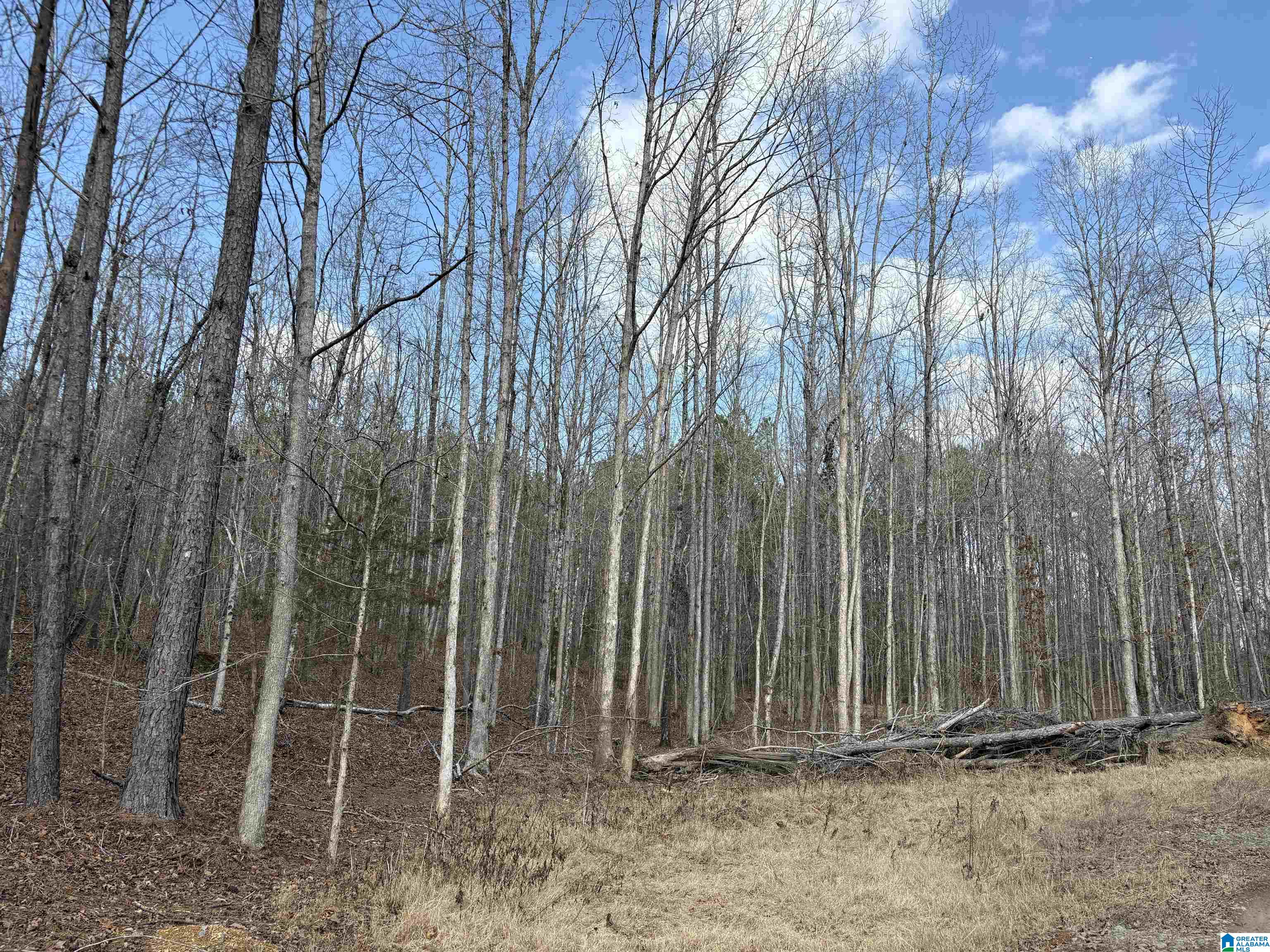 Homes for sale in Adger, AL | 9607 Lock 17 Road, Adger, AL 35006 | MLS# 21414963