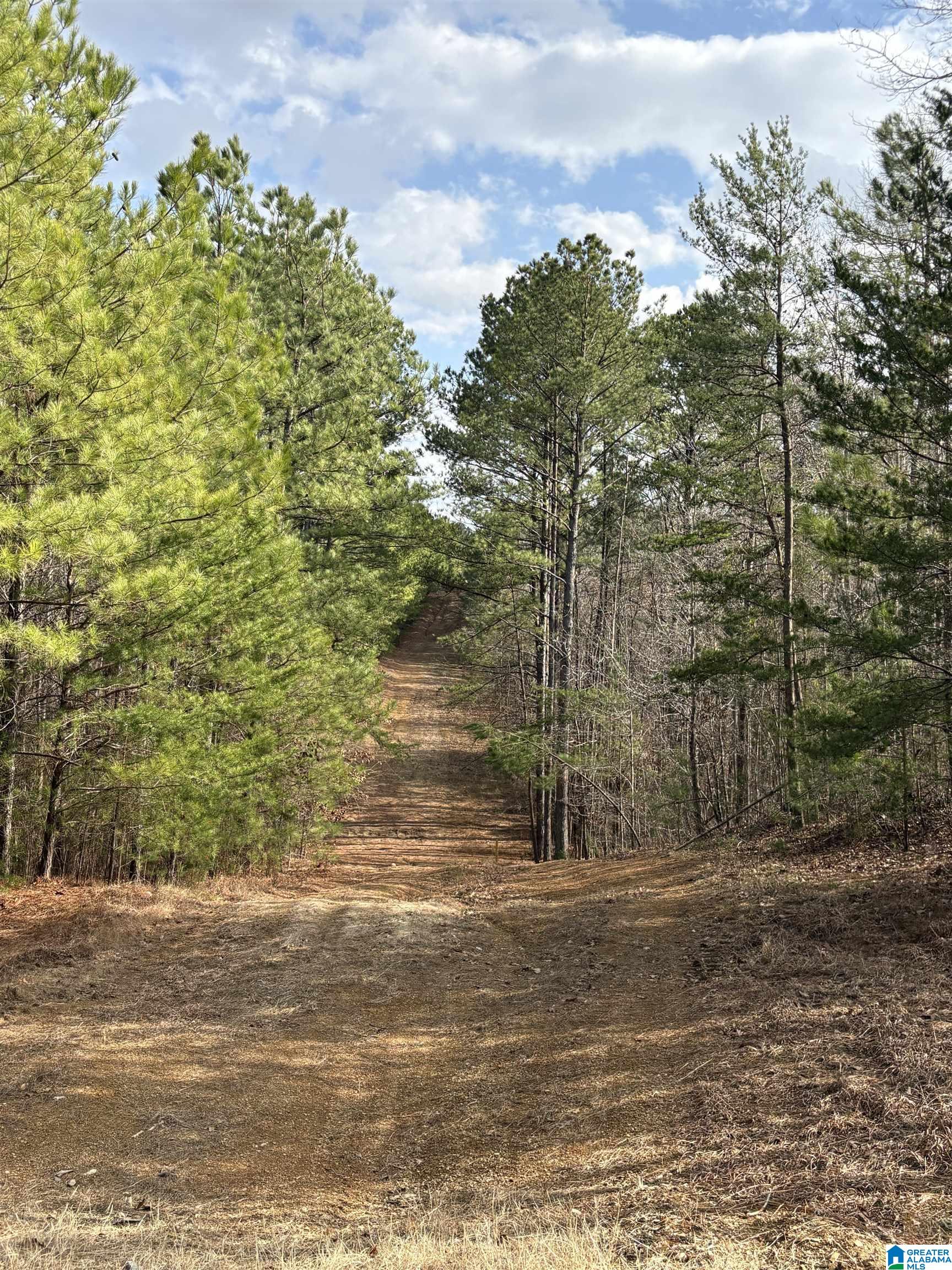 Homes for sale in Adger, AL | 9607 Lock 17 Road, Adger, AL 35006 | MLS# 21414963