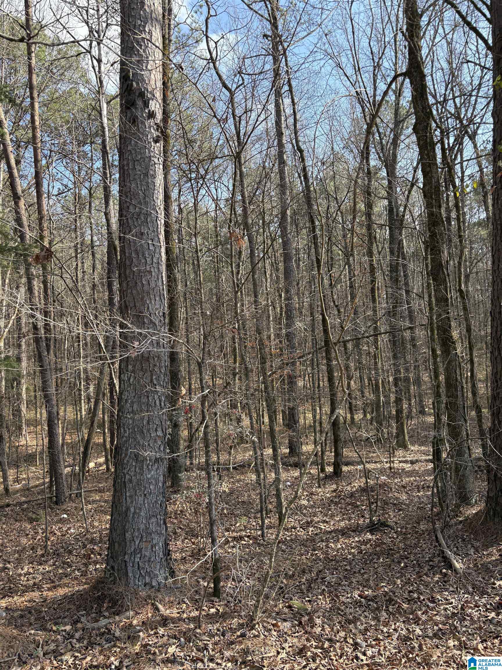 Homes for sale in Adger, AL | 9607 Lock 17 Road, Adger, AL 35006 | MLS# 21414963