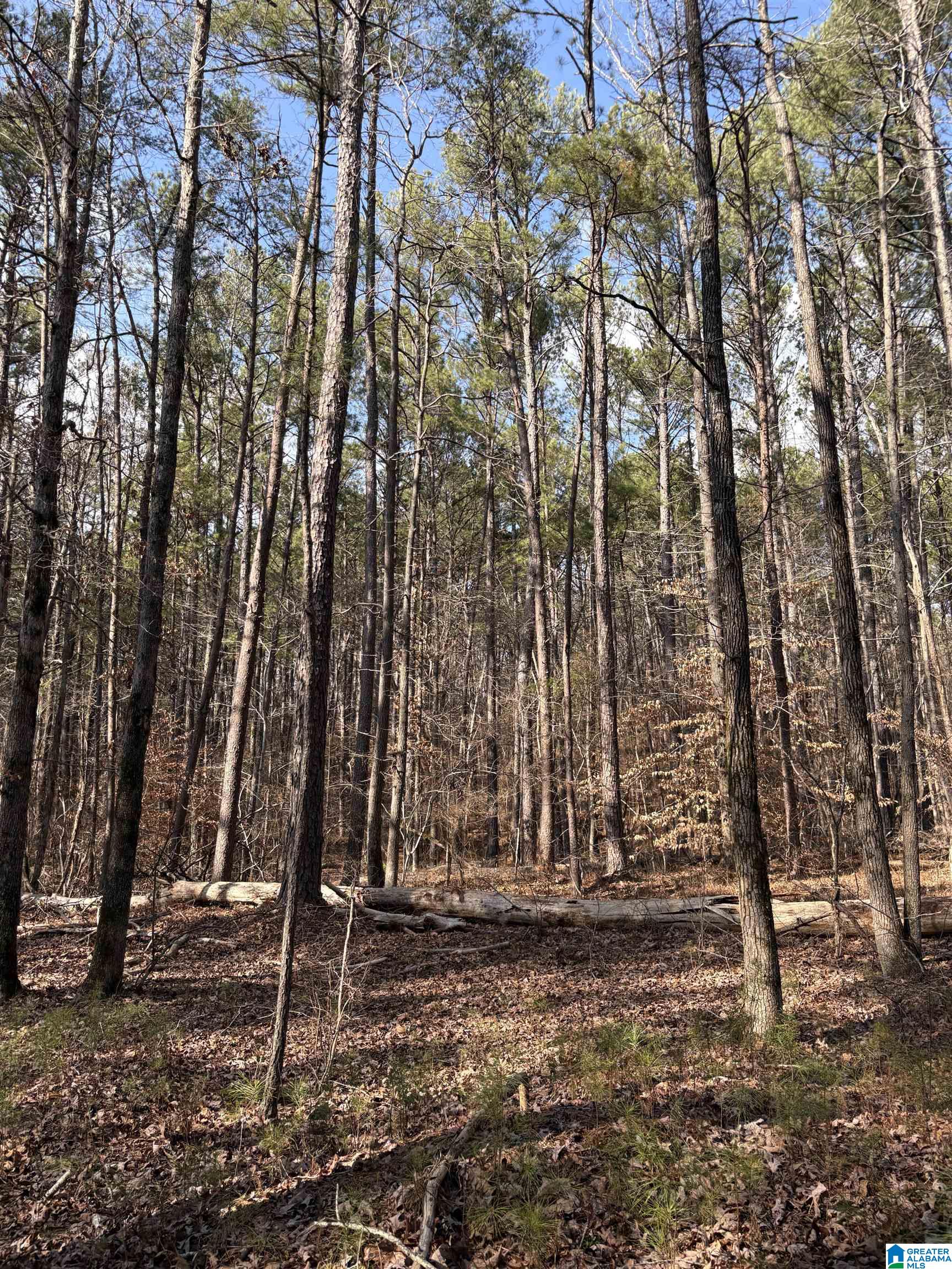 Homes for sale in Adger, AL | 2450  Mud Creek Road, Adger, AL 35006 | MLS# 21414965