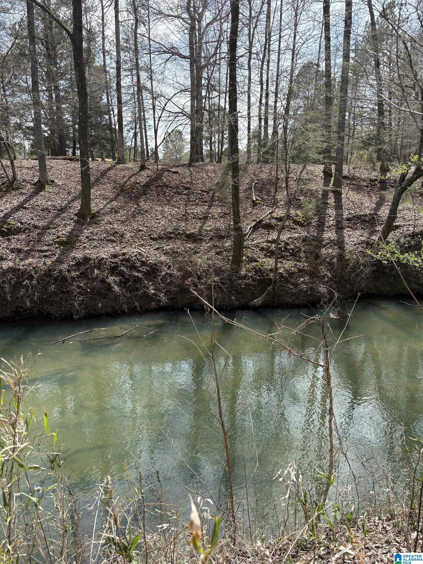 Homes for sale in Adger, AL | 10080 Lock 17 Road, Adger, AL 35006 | MLS# 21414971