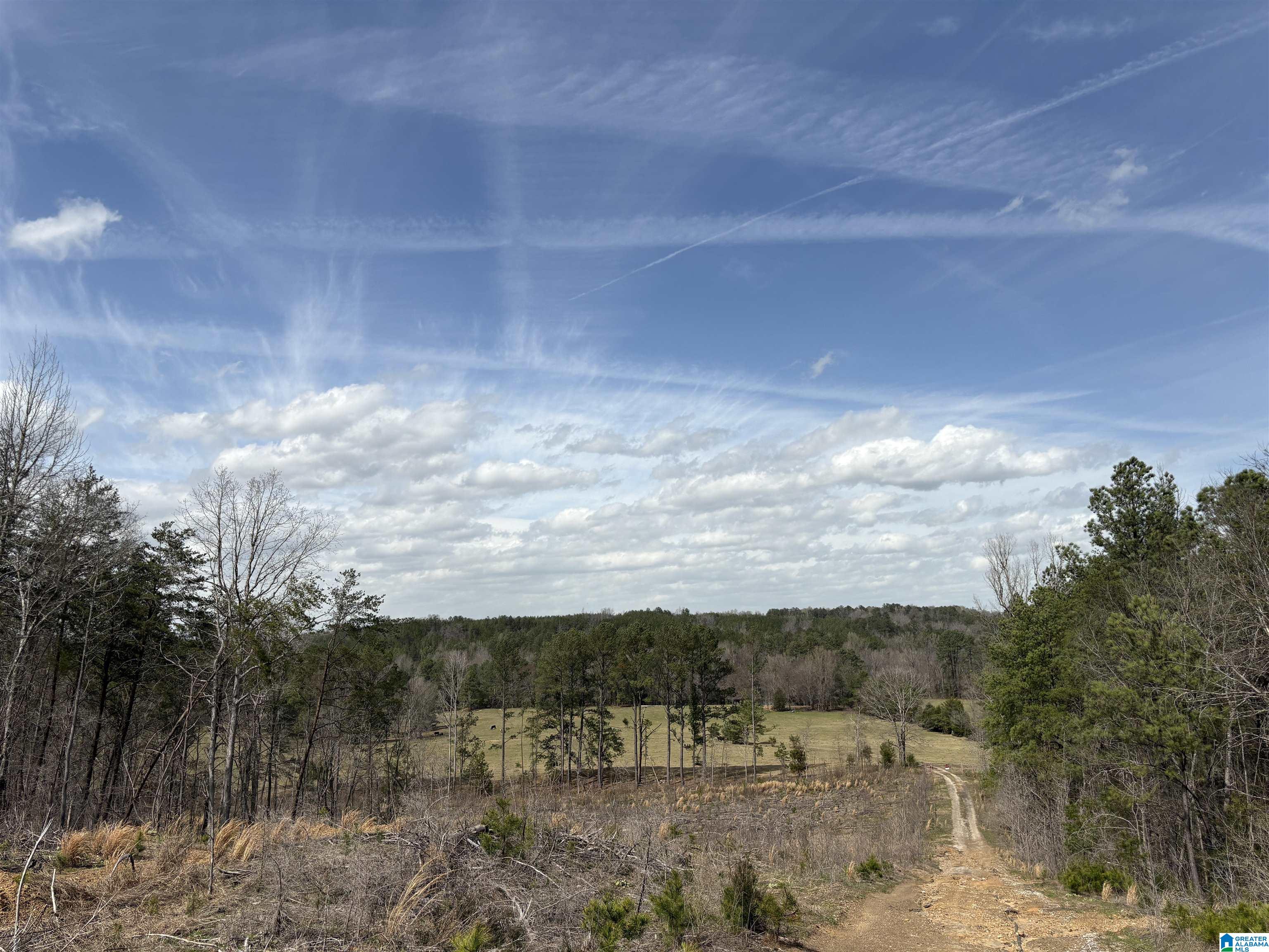 Homes for sale in Adger, AL | 10080 Lock 17 Road, Adger, AL 35006 | MLS# 21414971