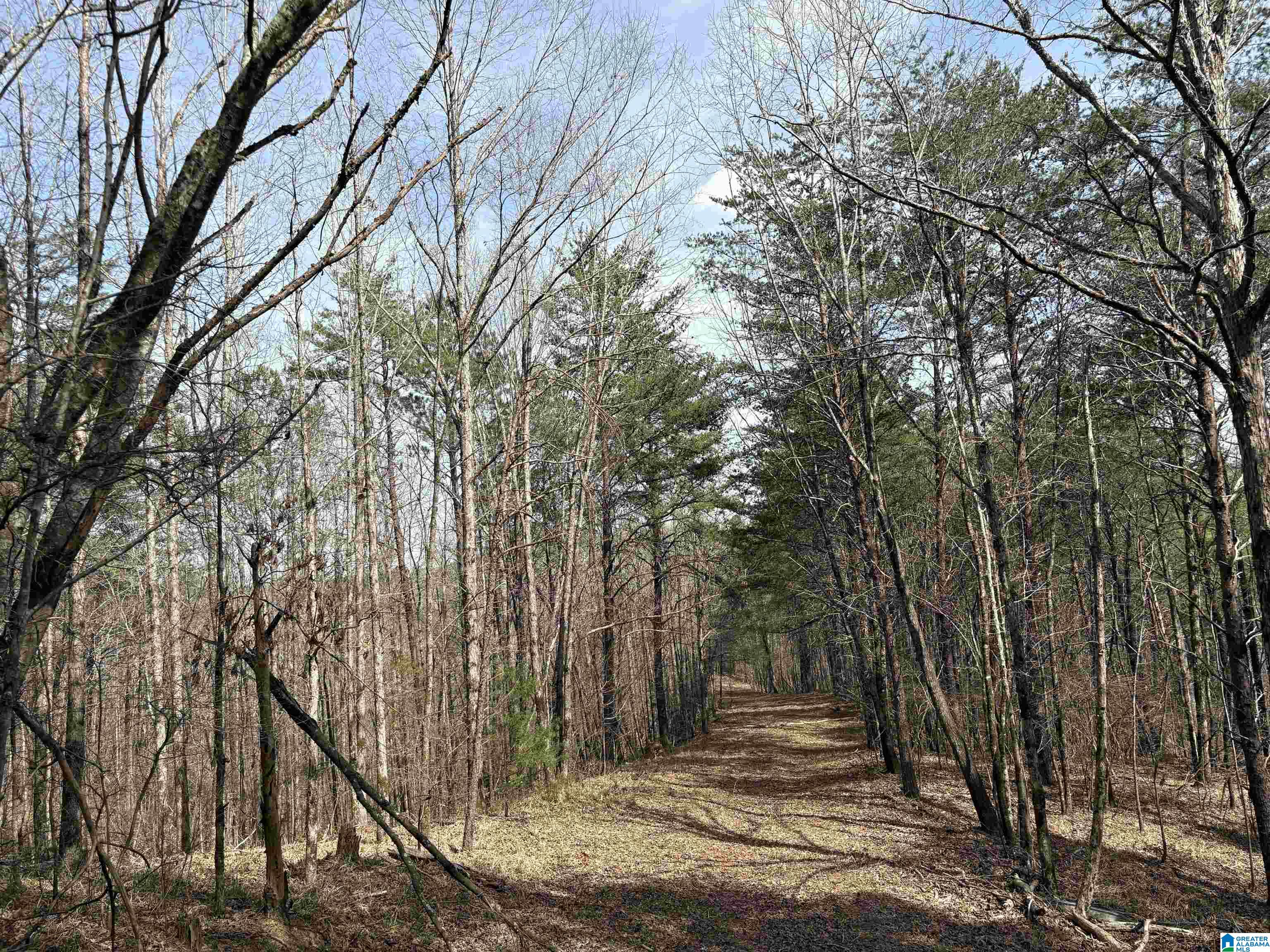 Homes for sale in Adger, AL | 10080 Lock 17 Road, Adger, AL 35006 | MLS# 21414971