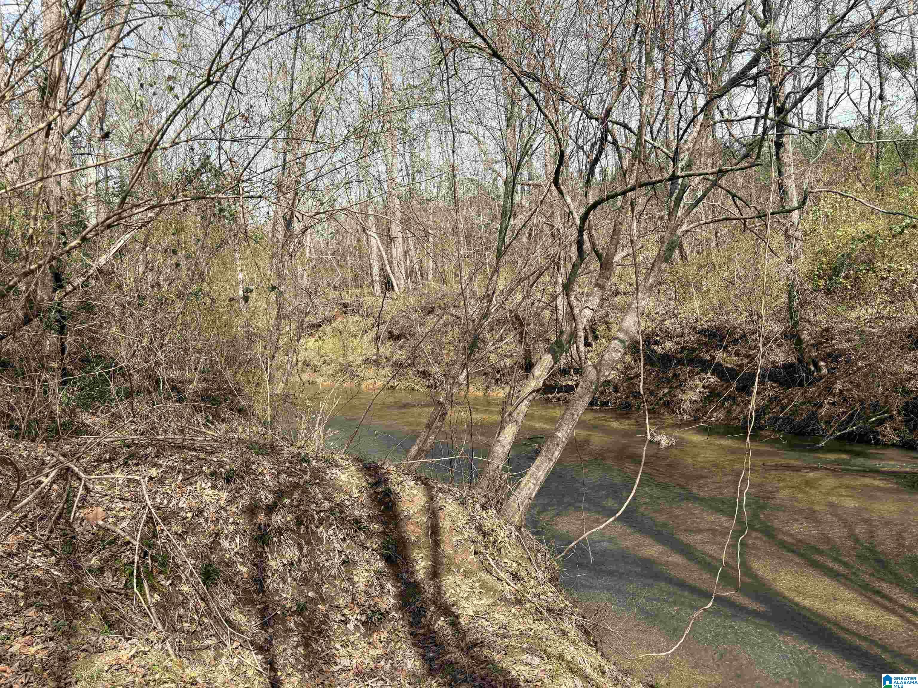 Homes for sale in Adger, AL | 10080 Lock 17 Road, Adger, AL 35006 | MLS# 21414971