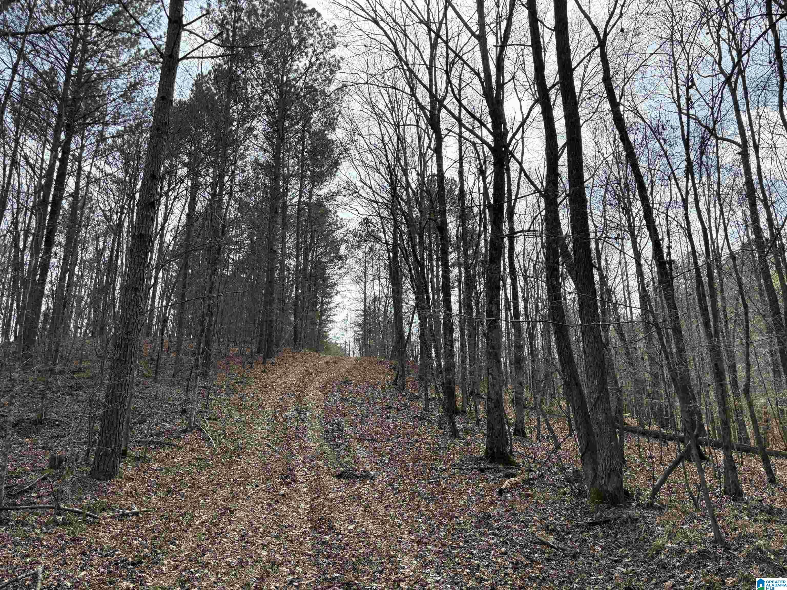 Homes for sale in Adger, AL | 10080 Lock 17 Road, Adger, AL 35006 | MLS# 21414971