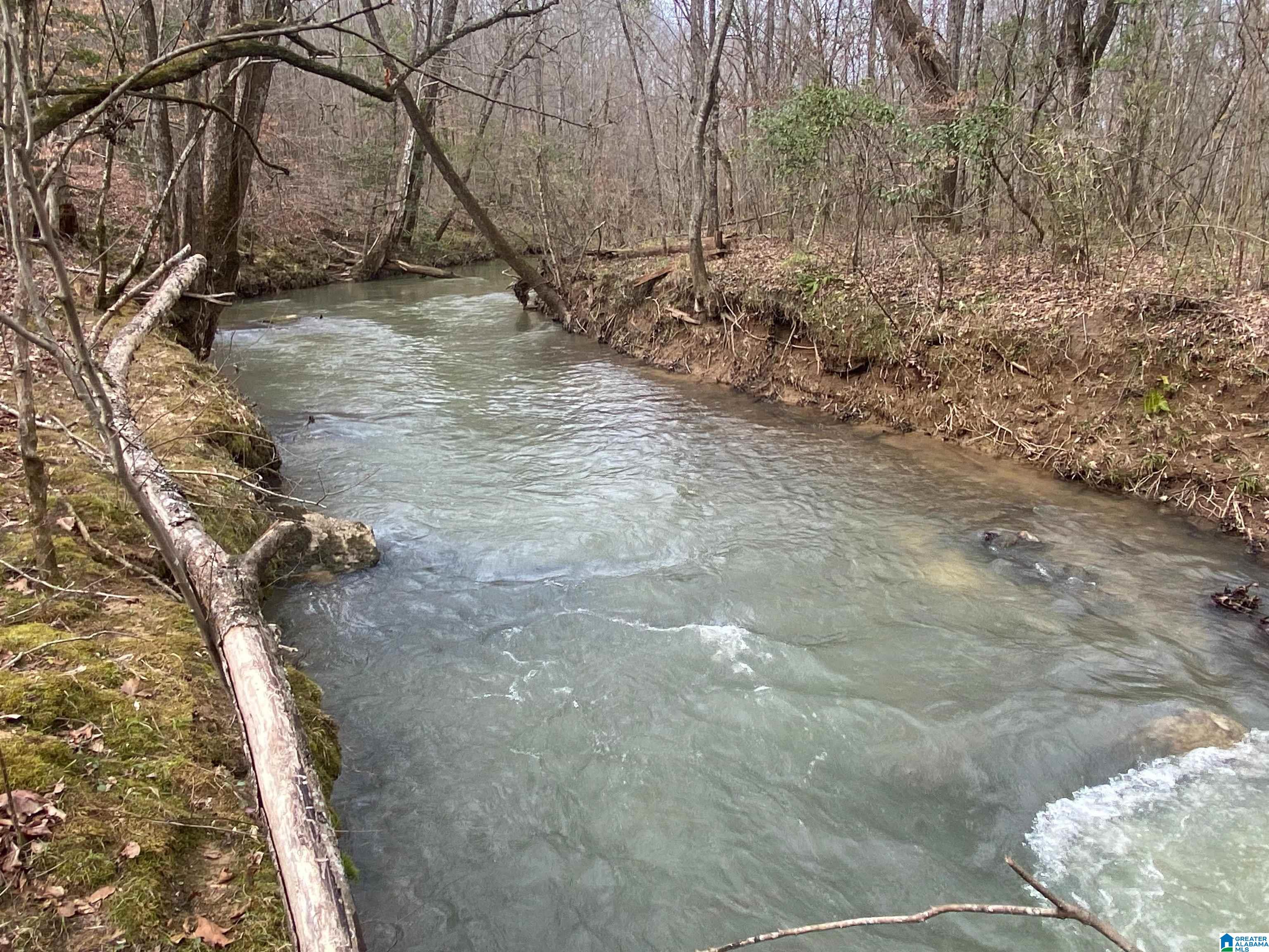 Homes for sale in Ashville, AL | 0 Sweatt Road, Ashville, AL 35953 | MLS# 21415006