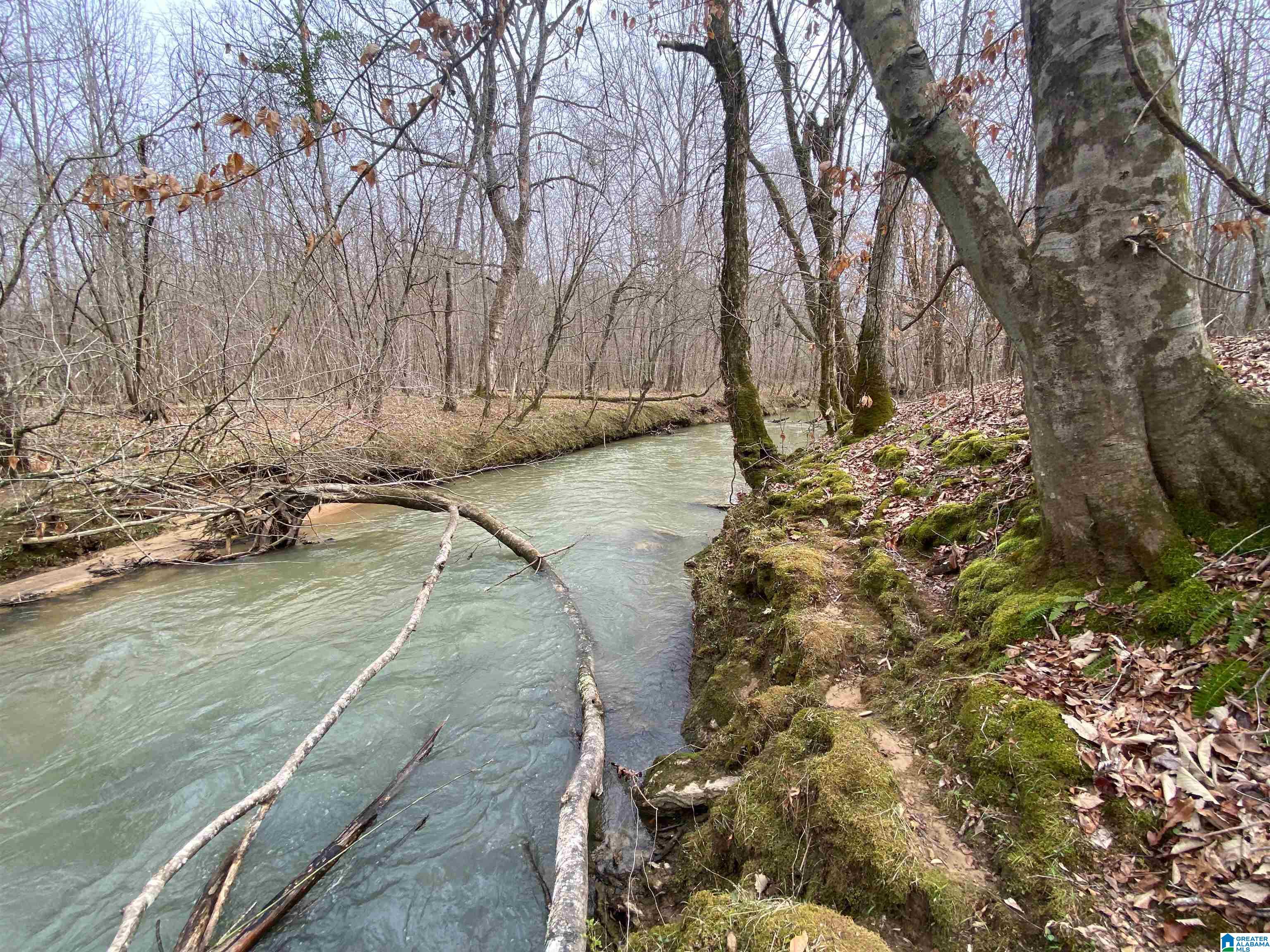 Homes for sale in Ashville, AL | 0 Sweatt Road, Ashville, AL 35953 | MLS# 21415006