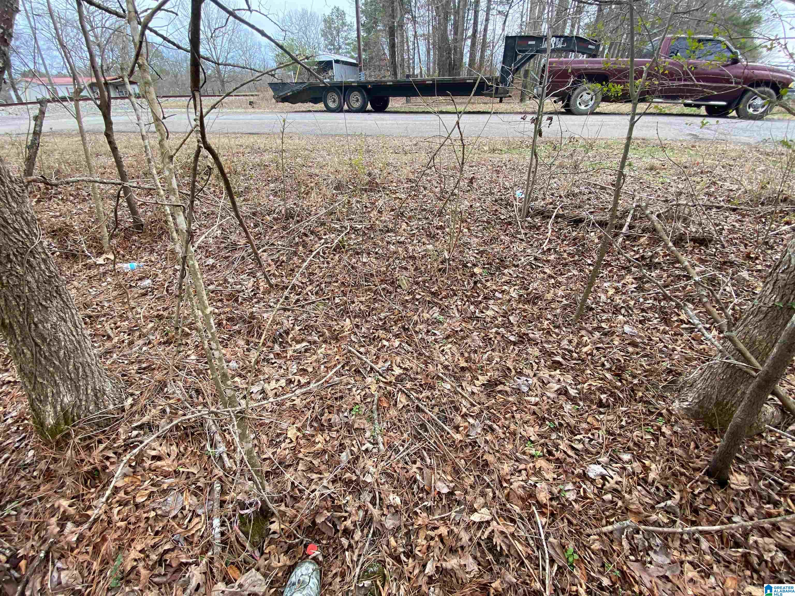 Homes for sale in Ashville, AL | 0 Sweatt Road, Ashville, AL 35953 | MLS# 21415006