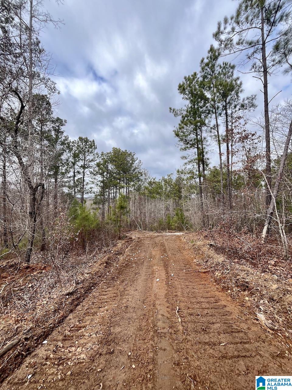 0 COUNTY ROAD 33