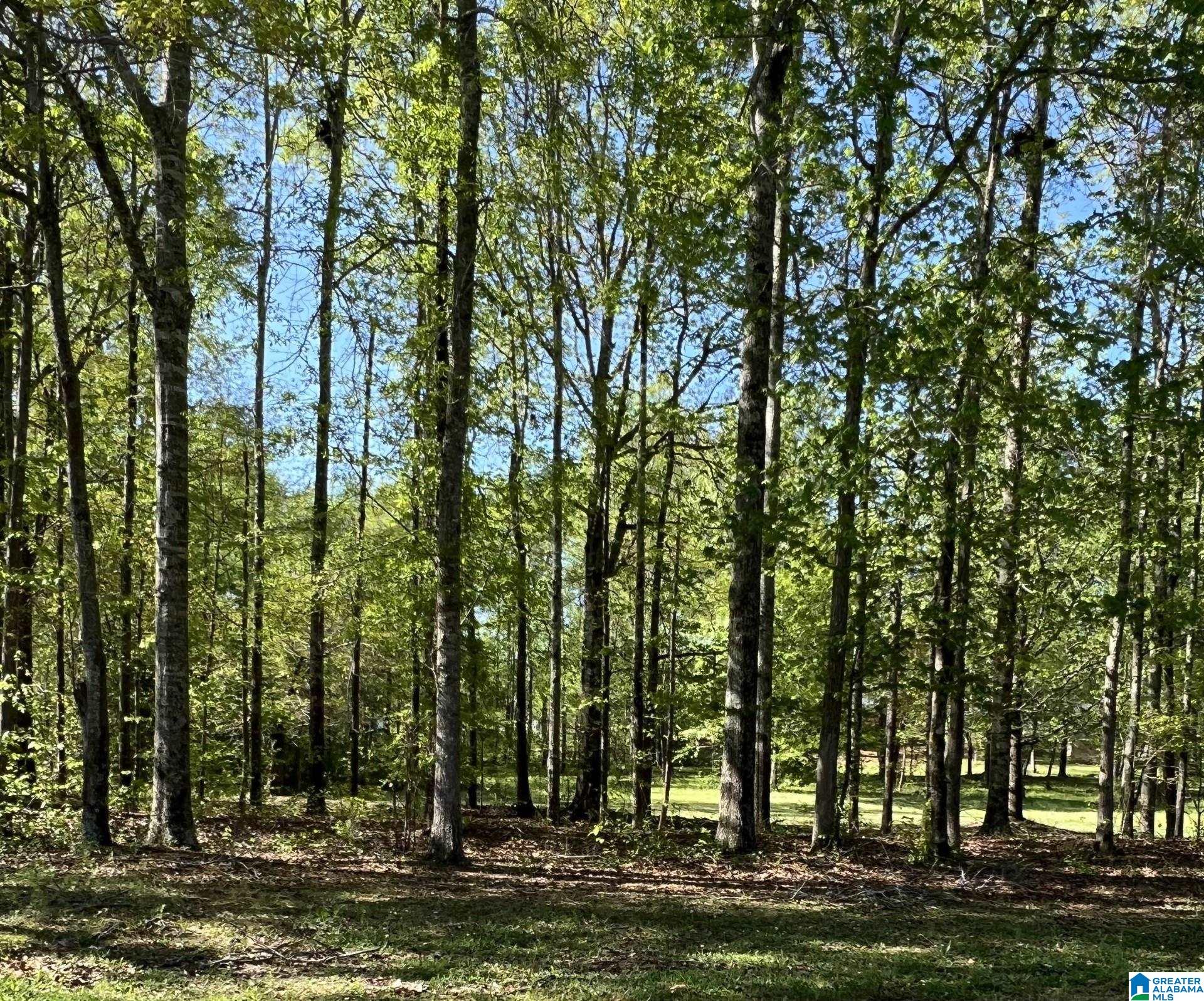 Homes for sale in Clanton, AL | 0 Fawn Dr, Clanton, AL 35045 | MLS# 21415597