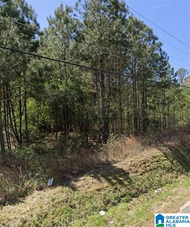 Homes for sale in Jacksonville, AL | 0 Henry Road Sw, Jacksonville, AL 36265 | MLS# 21415702