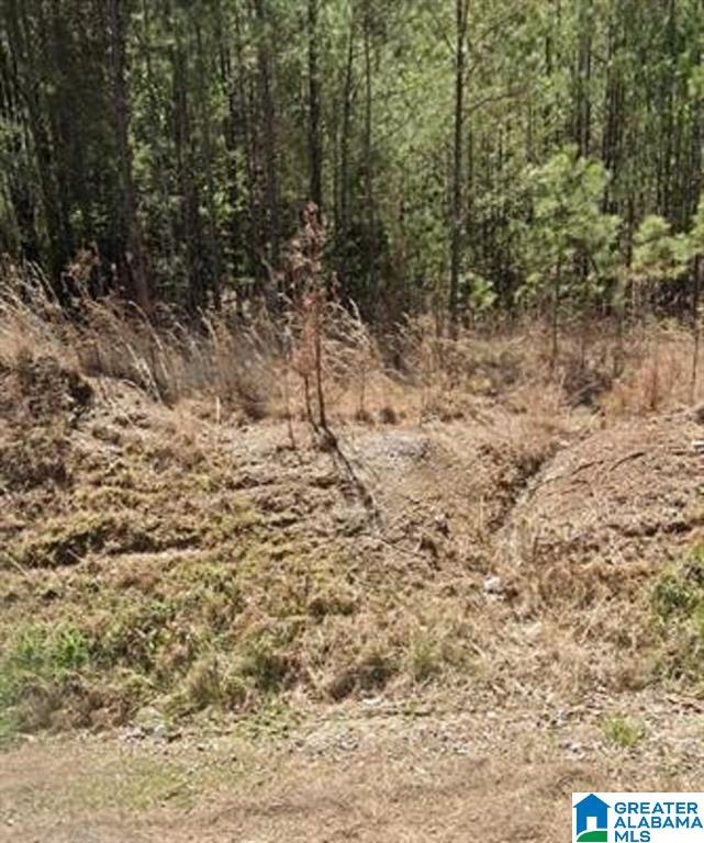 Homes for sale in Jacksonville, AL | 0 Henry Road Sw, Jacksonville, AL 36265 | MLS# 21415702